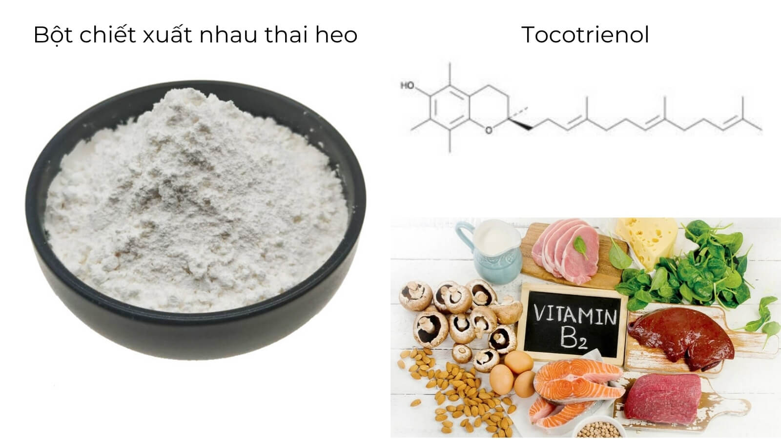C&aacute;c th&agrave;nh phần ch&iacute;nh c&oacute; trong vi&ecirc;n uống DHC Placenta