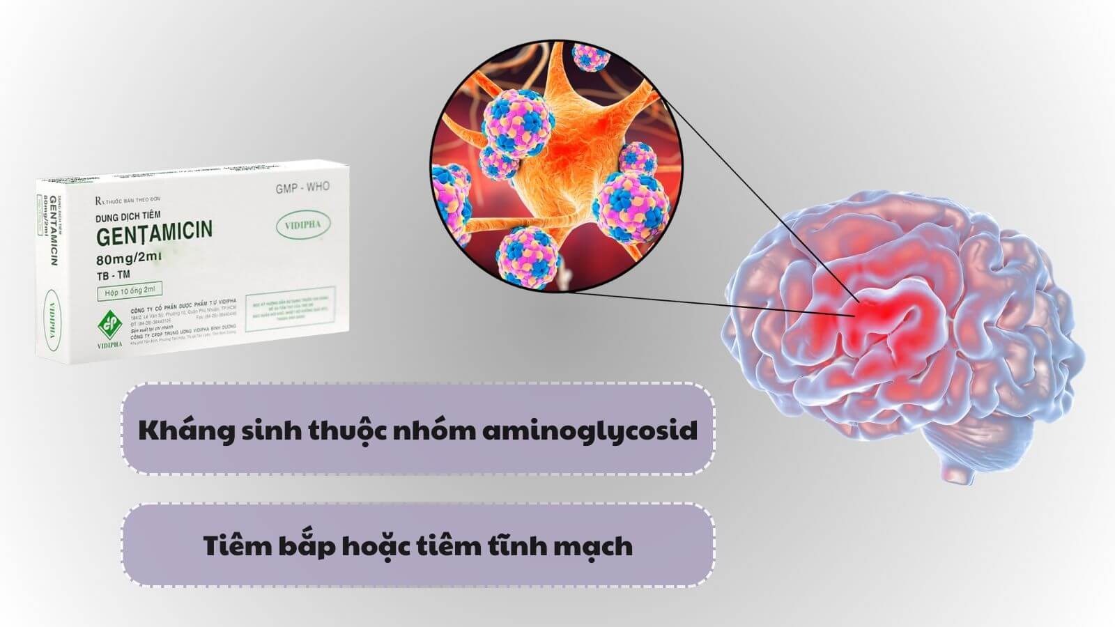 Gentamicin giúp Bắn Cá HZ88 là trò chơi giải trí điện tử nhiễm khuẩn nặng như viêm màng não