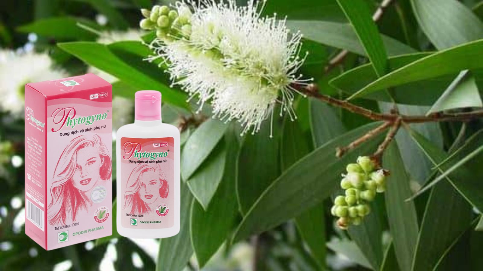 Dung dịch vệ sinh Phytogyno - Tr&aacute;nh vi&ecirc;m nhiễm sinh dục