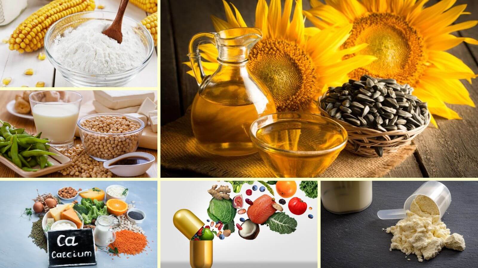 Th&agrave;nh phần của Sữa Ensure Gold