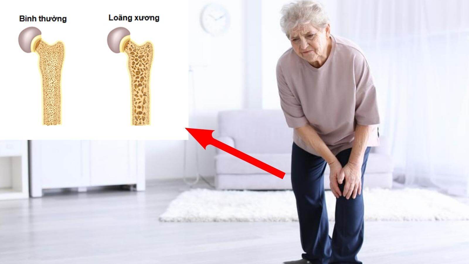 Ensure Gold l&agrave; một sản phẩm bổ sung đầy đủ canxi v&agrave; c&aacute;c kho&aacute;ng chất thiết yếu cho cơ thể.