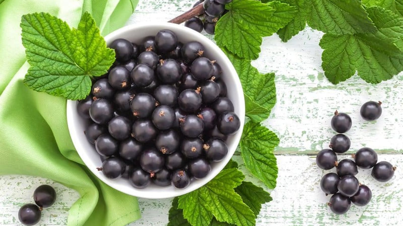 Dầu hạt l&yacute; chua đen gi&agrave;u h&agrave;m lượng Omega v&agrave; c&aacute;c vitamin kh&aacute;c.&nbsp;&nbsp;