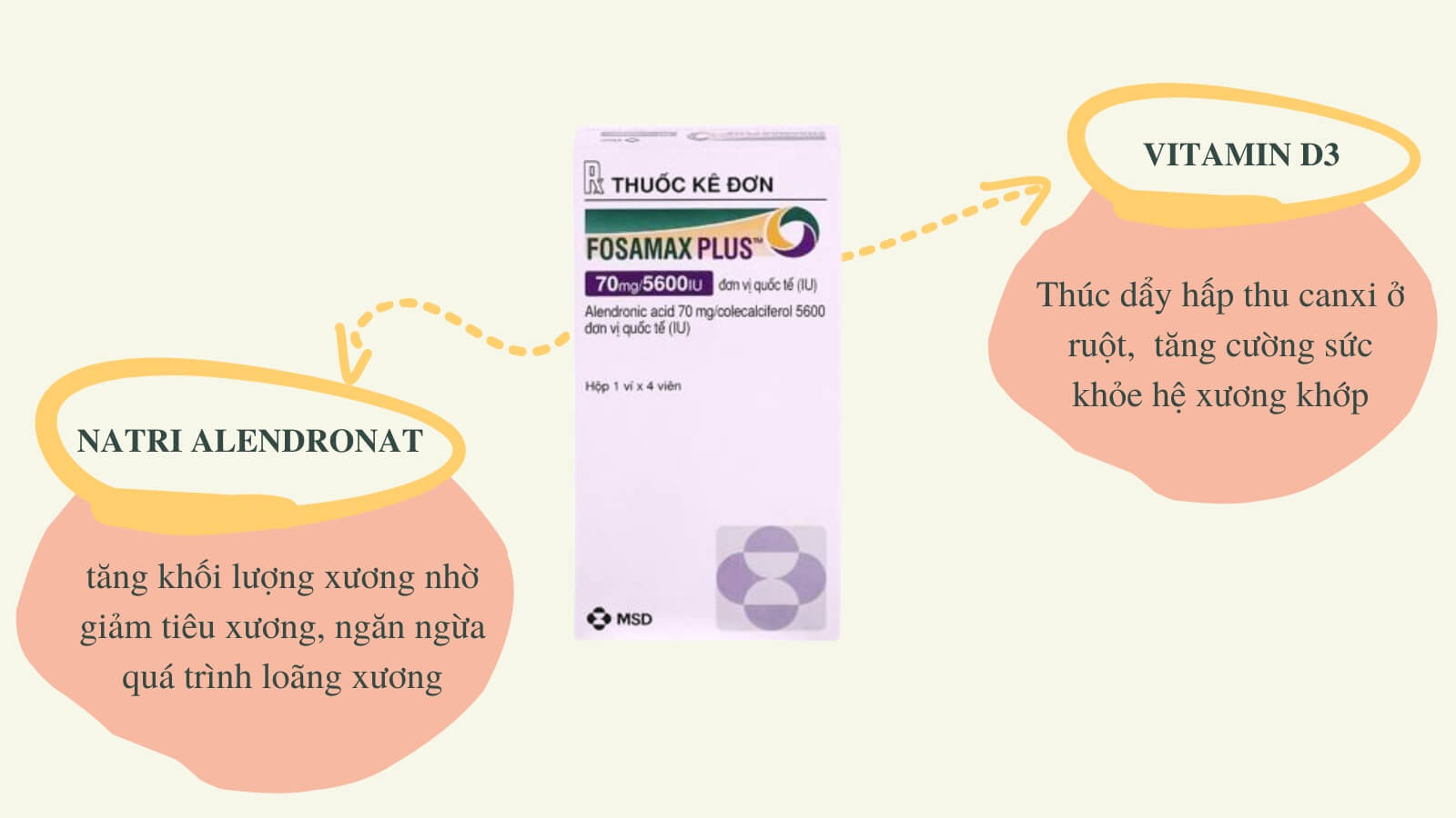 Fosamax plus Bắn Cá HZ88 là trò chơi giải trí điện tử v&agrave; dự ph&ograve;ng lo&atilde;ng xương