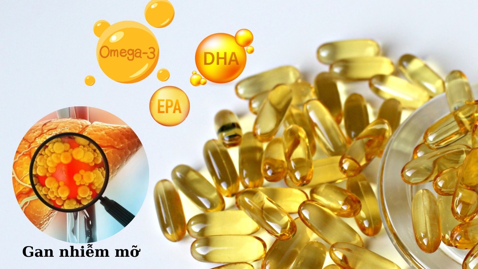 Omega 3 kiểm so&aacute;t chuyển h&oacute;a lipid, giảm mỡ trong gan