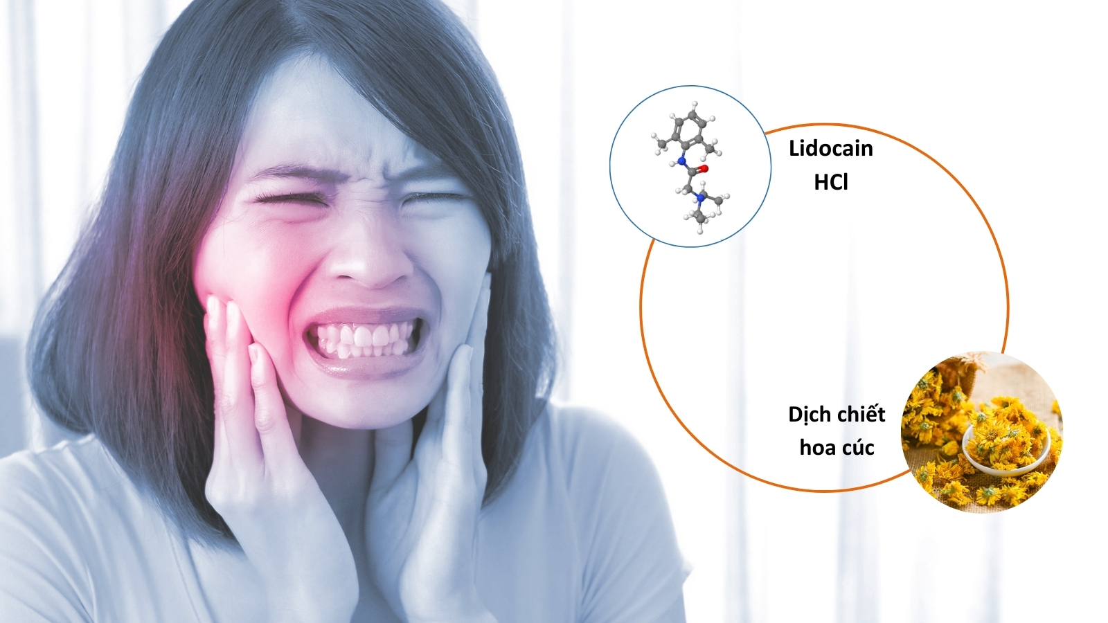 Th&agrave;nh phần ch&iacute;nh Lidocaine HCl v&agrave; dịch chiết hoa c&uacute;c gi&uacute;p chống vi&ecirc;m, giảm đau
