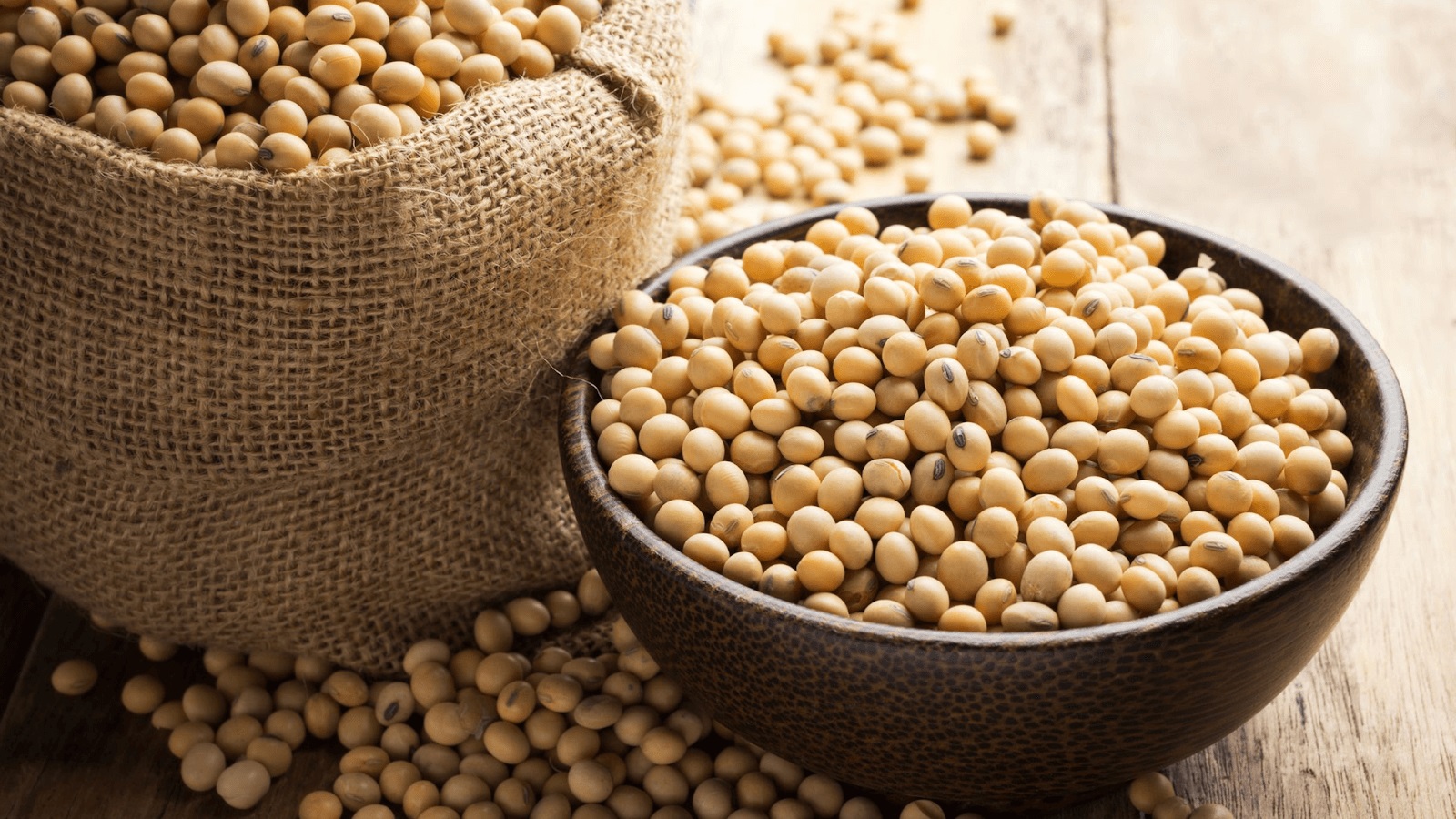 Protein đậu n&agrave;nh cung cấp năng lượng l&agrave;nh mạnh cho cơ thể