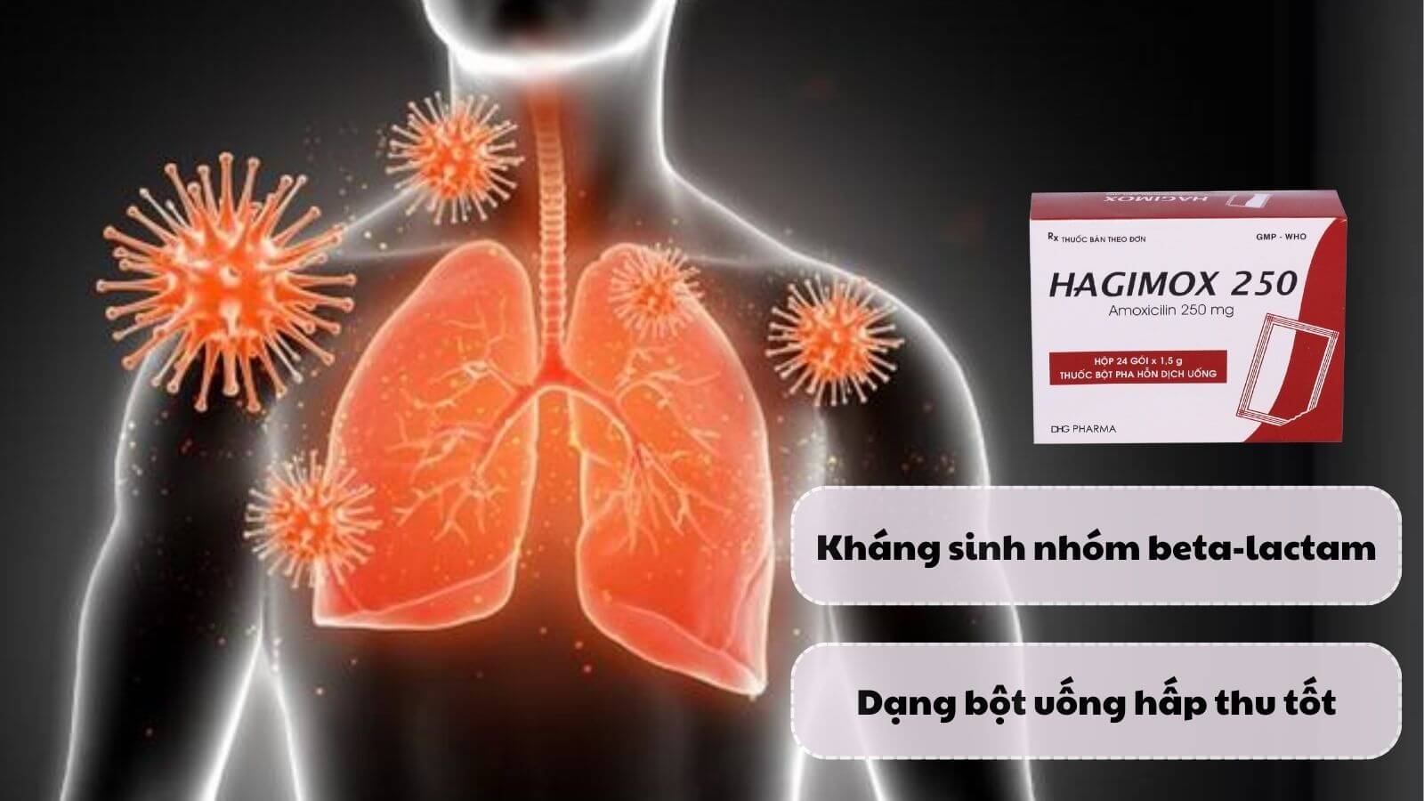 Hagimox 250 chứa th&agrave;nh phần ch&iacute;nh l&agrave; Amoxicillin - kh&aacute;ng sinh nh&oacute;m beta-lactam