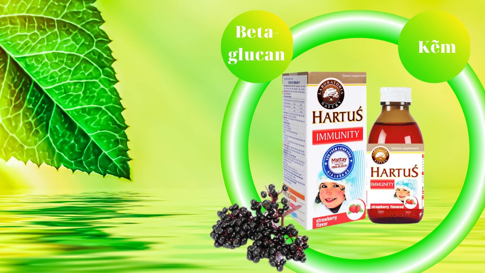 Với c&aacute;c th&agrave;nh phần gi&uacute;p bảo vệ cơ thể khỏi sự tấn c&ocirc;ng của virus, vi khuẩn g&acirc;y cảm c&uacute;m, cảm lạnh.