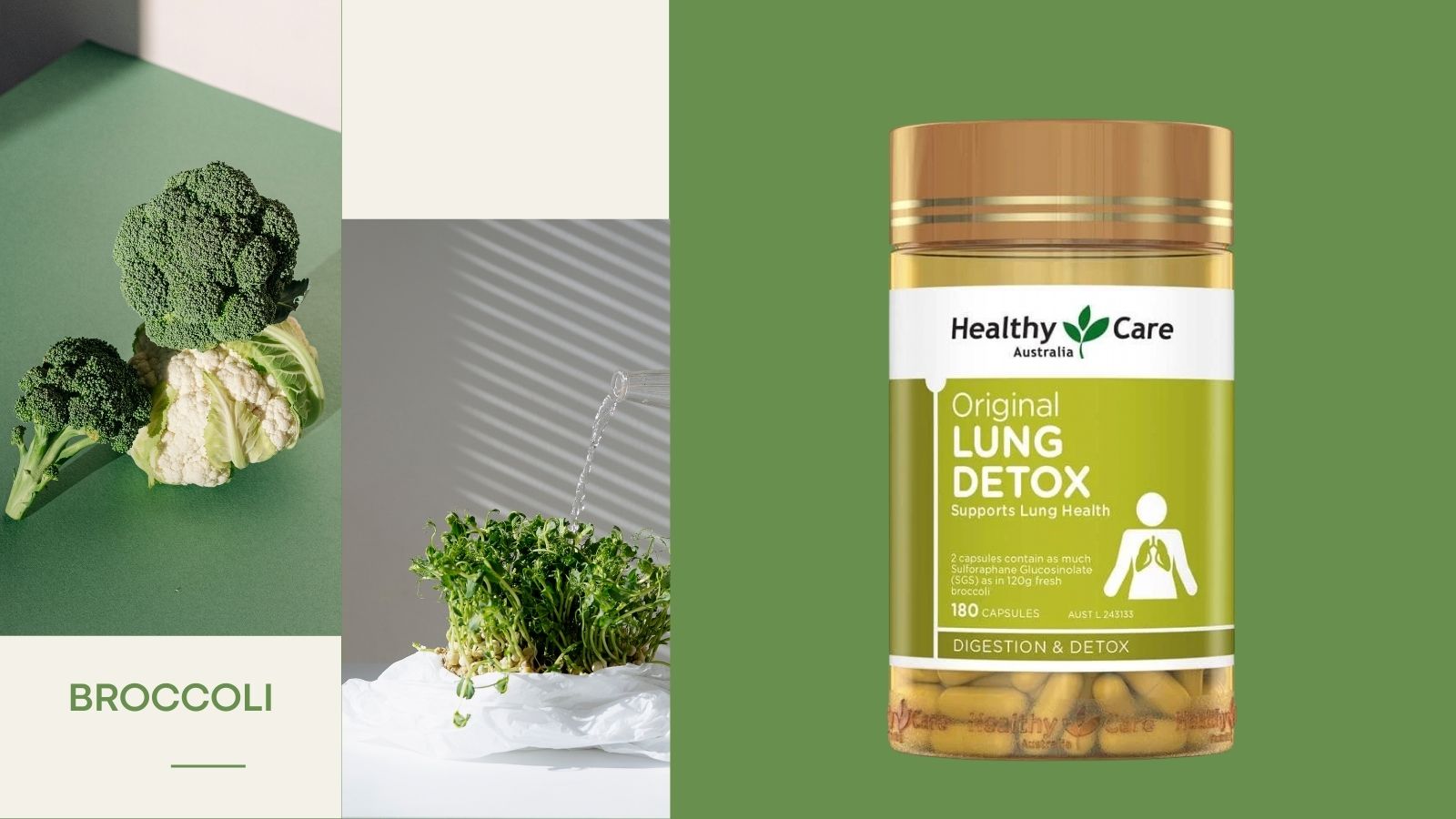 Th&agrave;nh phần ch&iacute;nh của Healthy Care Lung Detox