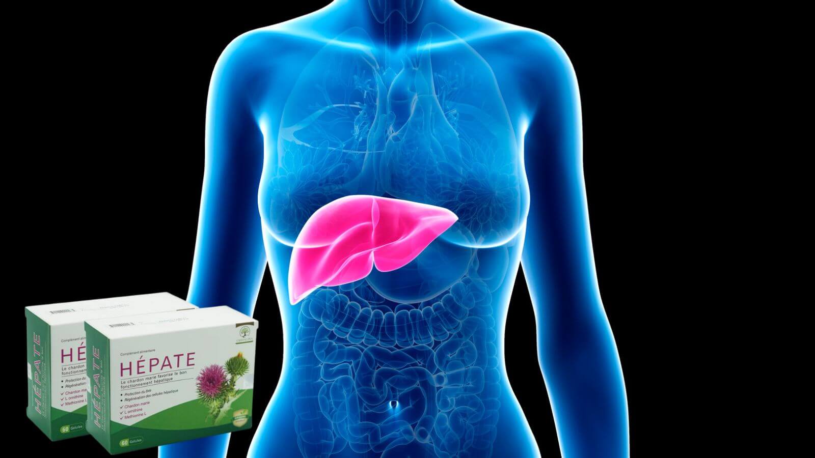 H&eacute;pate - giải ph&aacute;p Bắn Cá HZ88 là trò chơi giải trí điện tử vi&ecirc;m gan cấp v&agrave; m&atilde;n t&iacute;nh hiệu quả