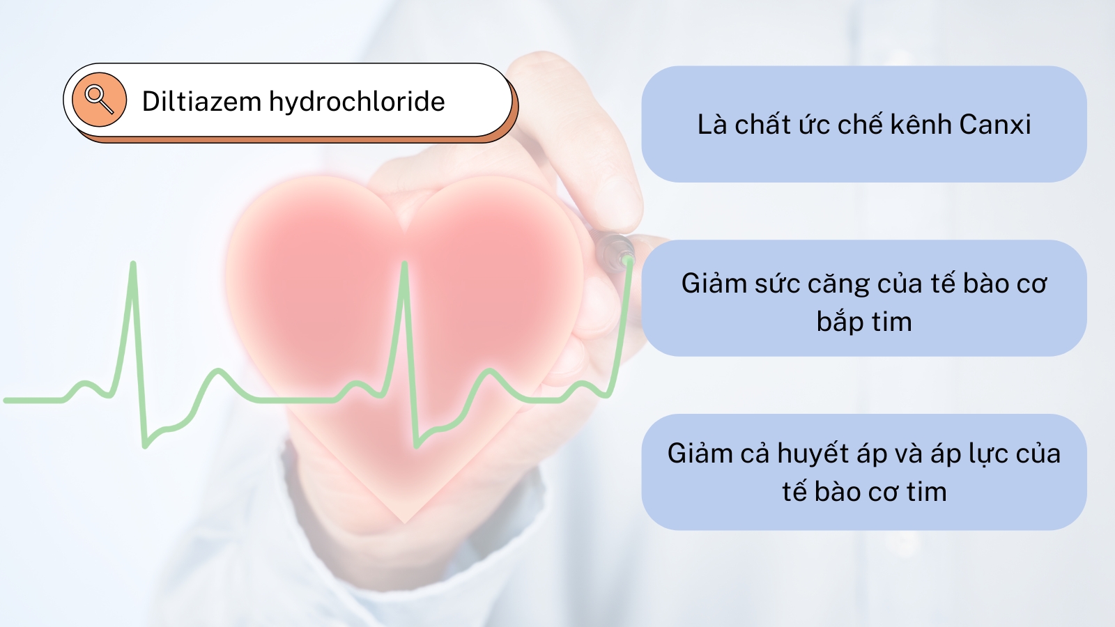 Diltiazem hydrochloride gi&uacute;p l&agrave;m giảm sức căng của tế b&agrave;o cơ tim. 