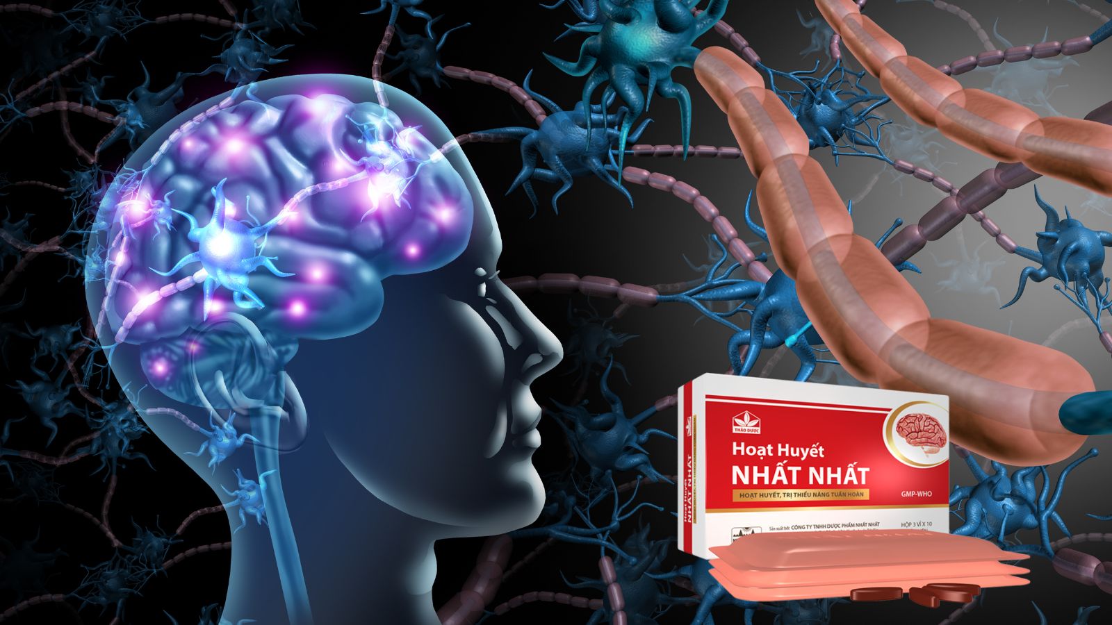 Hoạt Huyết Nhất Nhất - Bổ huyết, tăng cường tuần ho&agrave;n n&atilde;o