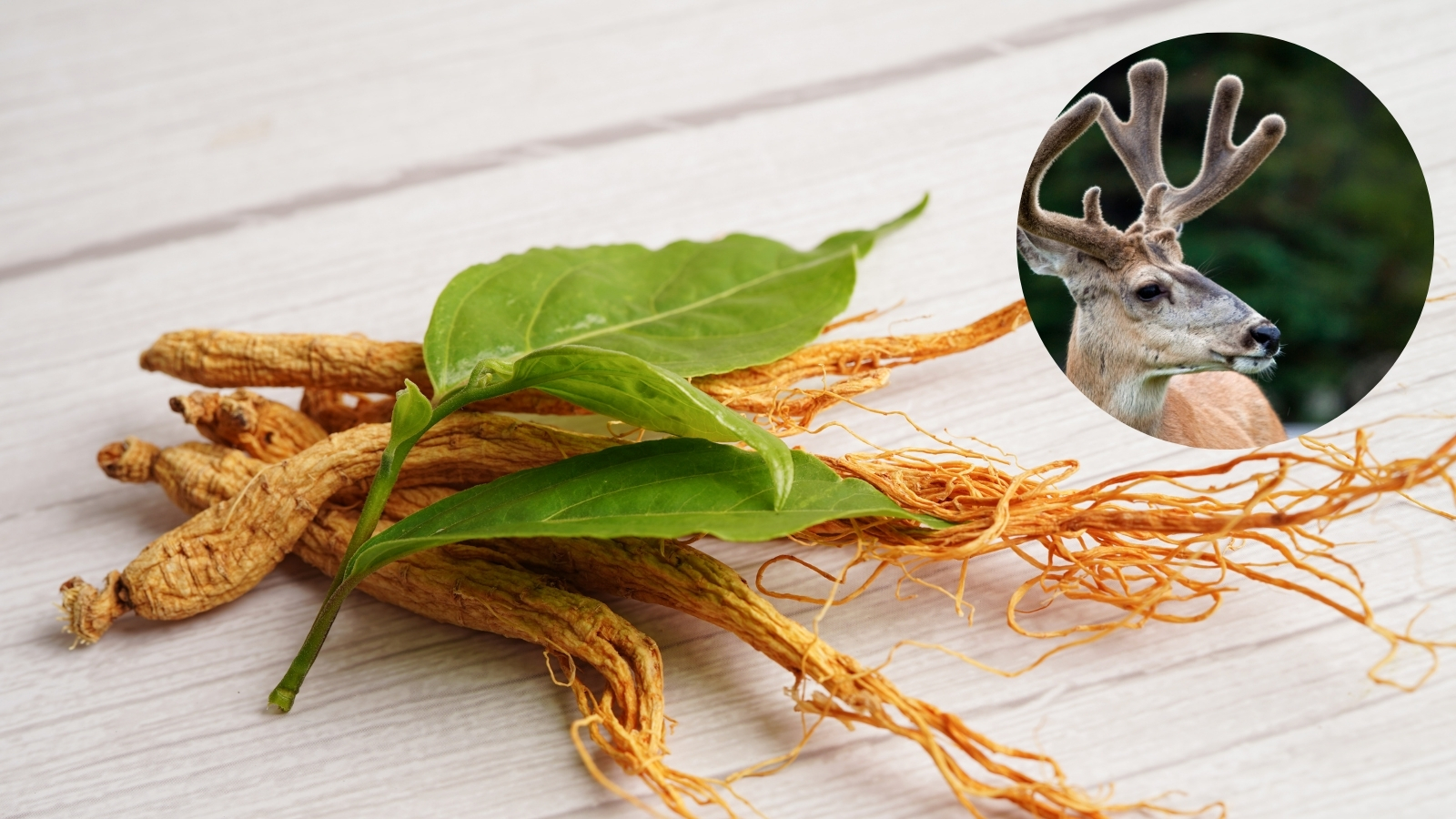 Sản phẩm với c&aacute;c th&agrave;nh phần từ thi&ecirc;n nhi&ecirc;n gi&uacute;p bồi bổ, n&acirc;ng cao sức đề kh&aacute;ng cho cơ thể 