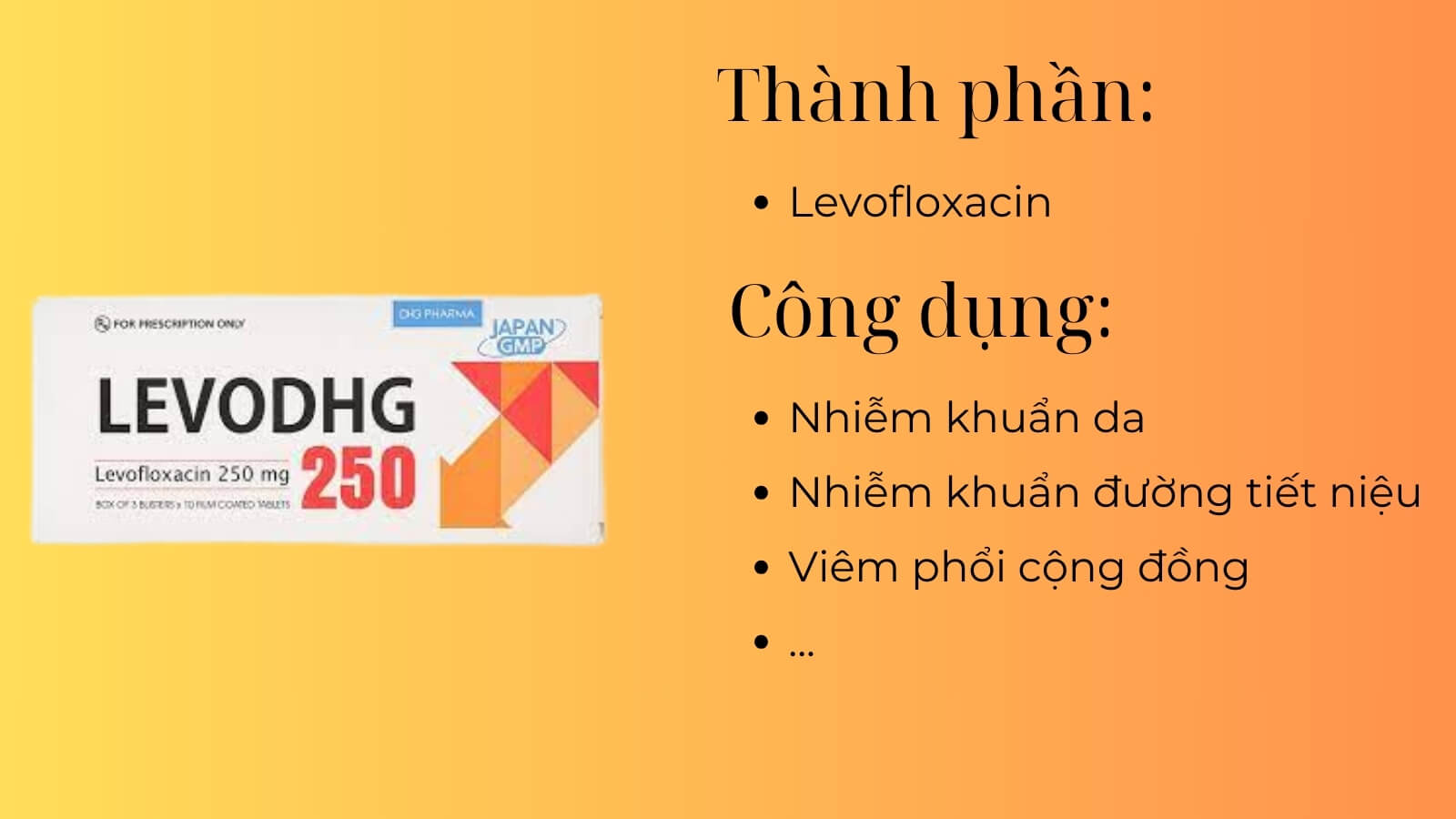 Th&agrave;nh phần v&agrave; c&ocirc;ng dụng của thuốc Levodhg 250