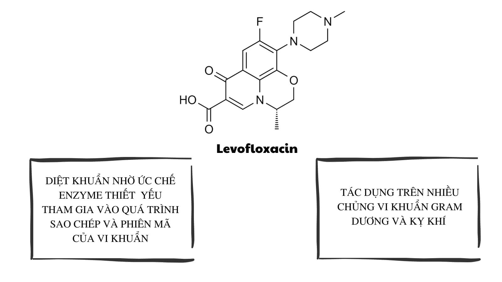 https://hz888a.com/images/product/origin/hz88b-duoc-cap-phep-boi-cac-to-chuc-co-bac-uy-tin-levodhg-750mg-663ce2b4c5ffa.jpg