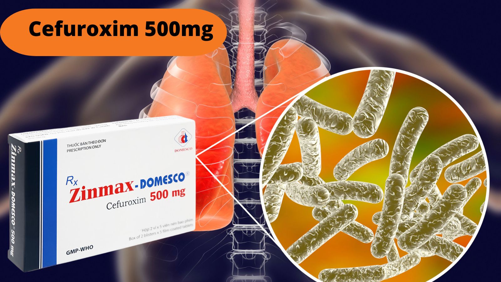 Cefuroxim th&agrave;nh phần ch&iacute;nh của Zinmax 500mg