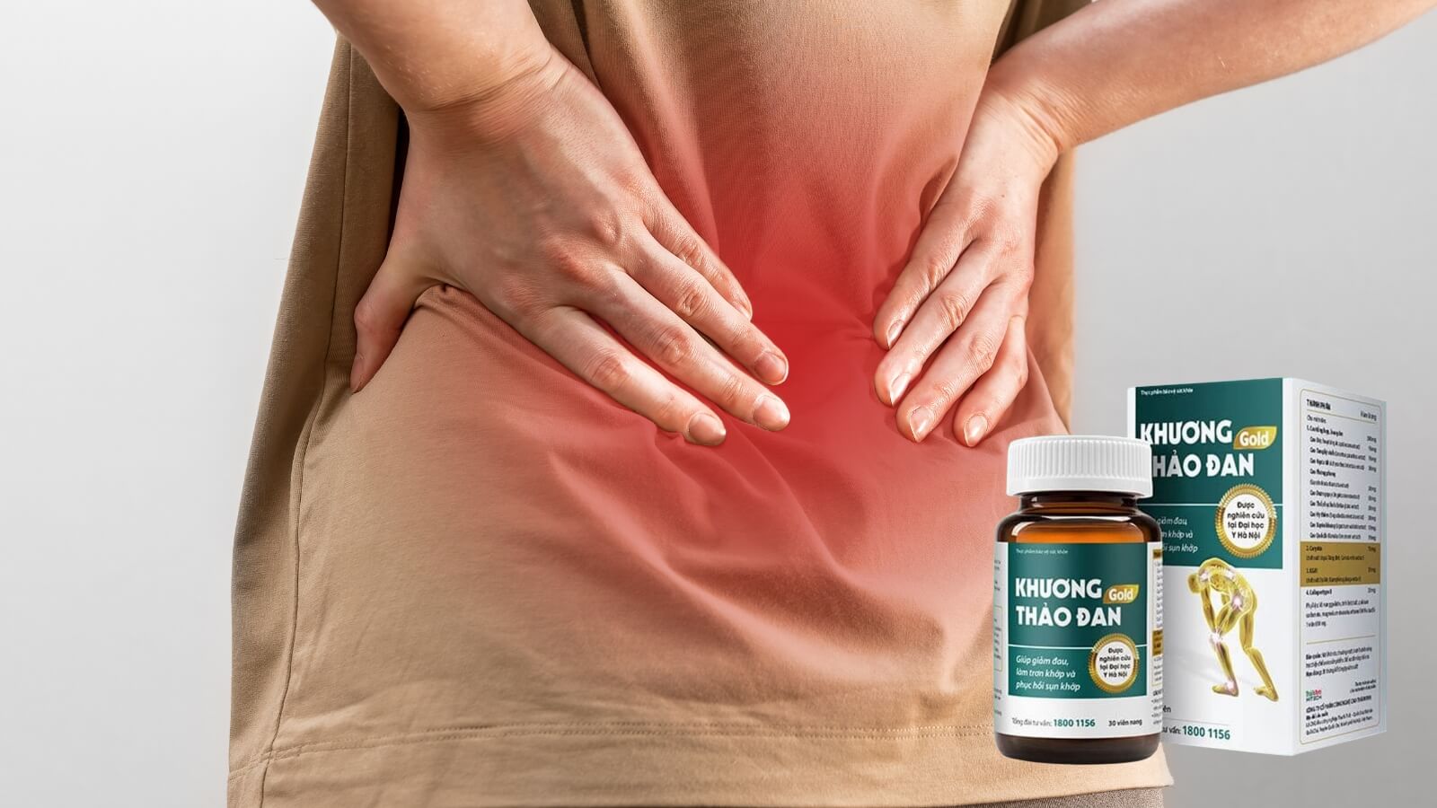 Khương Thảo Đan Gold - Hỗ trợ phục hồi sụn khớp