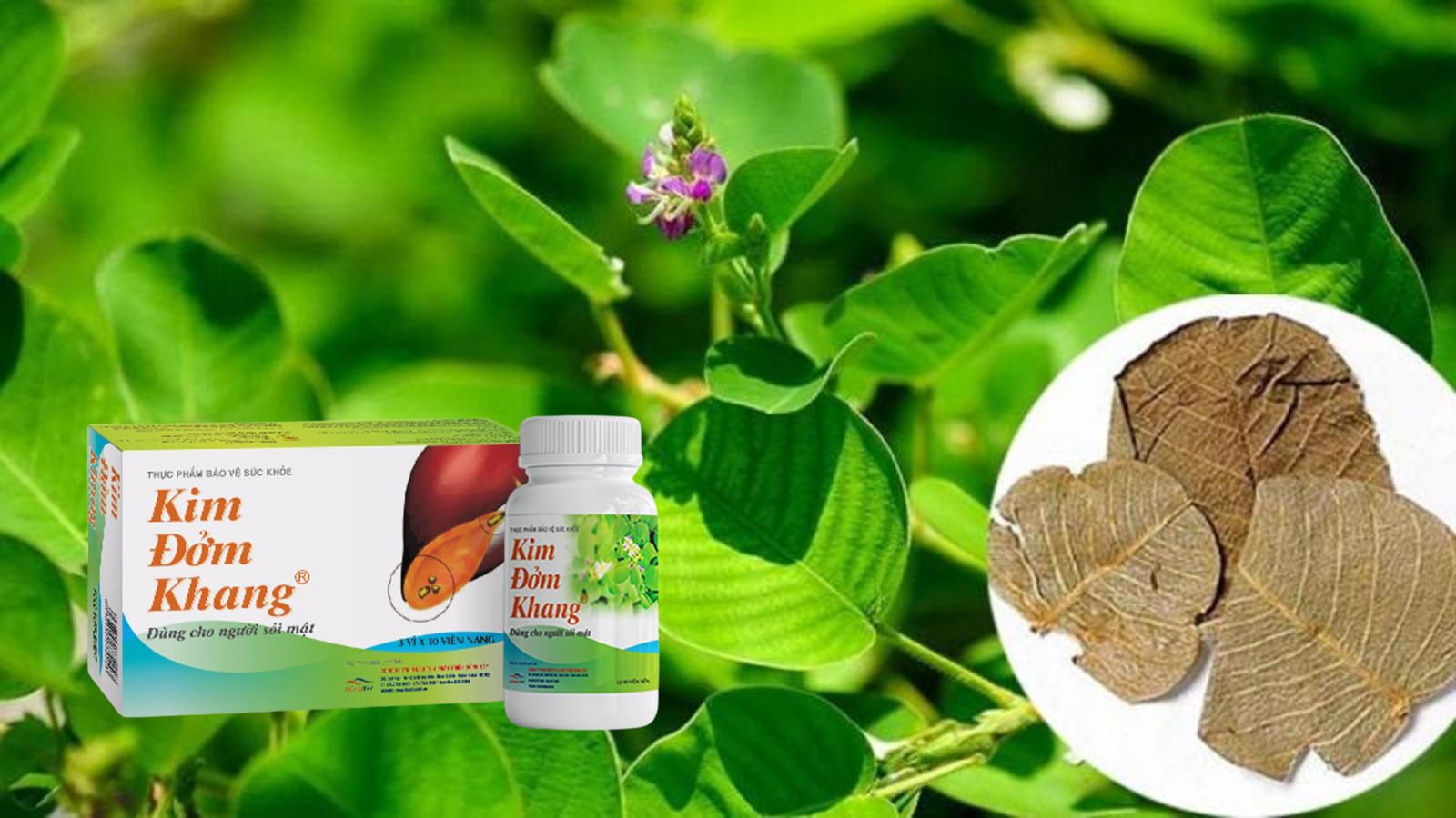 Kim Đởm Khang hỗ trợ Hz888 đăng ký nhanh gan mật