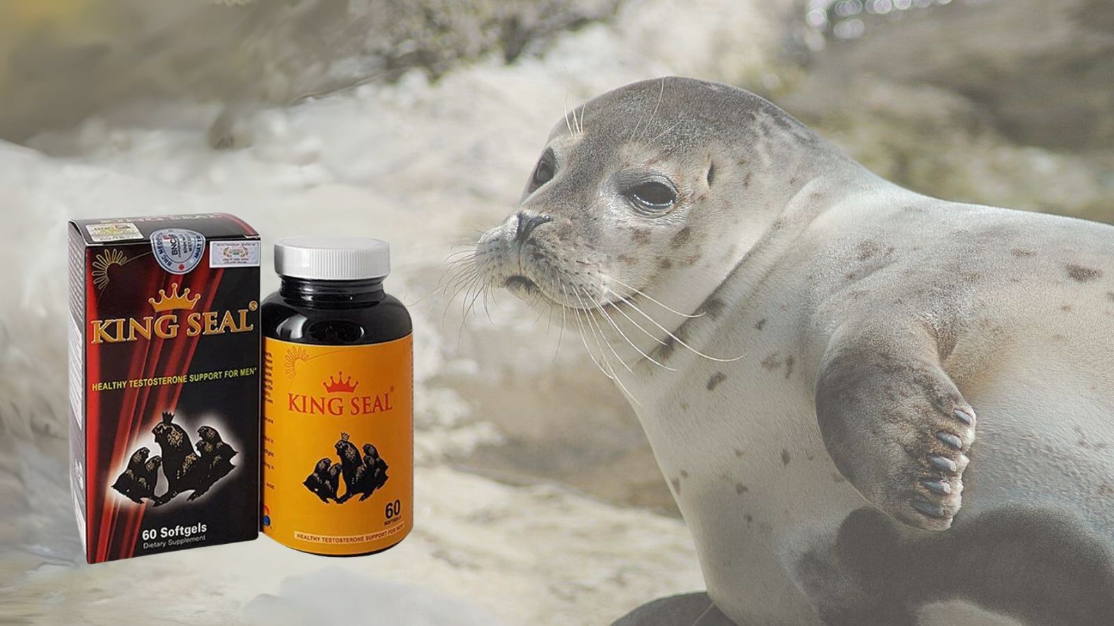 Mua King Seal chính hãng tại Hz888a.com