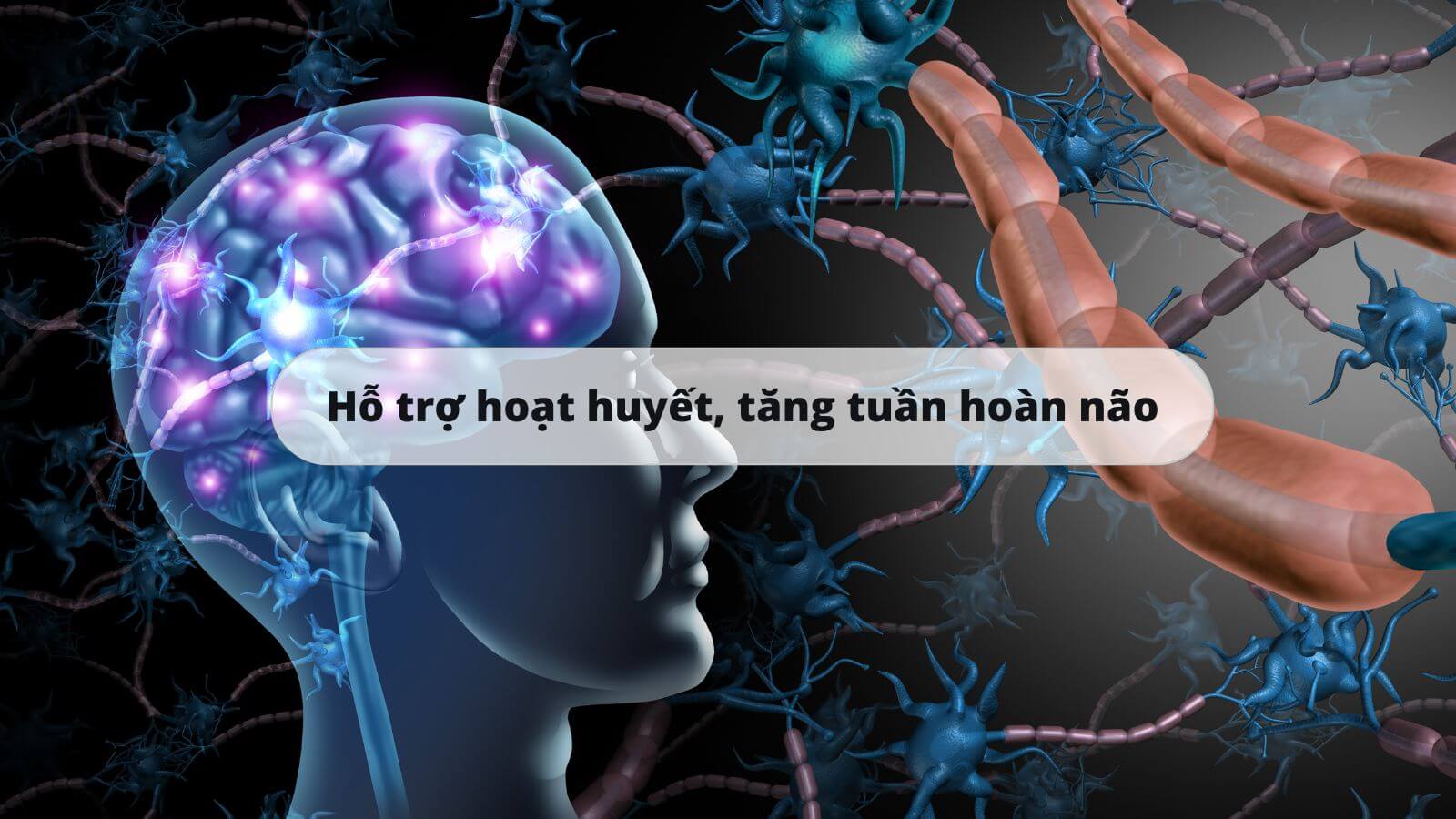 T&aacute;c dụng ch&iacute;nh của sản phẩm