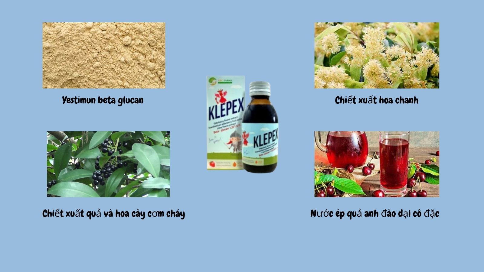 Klepex&nbsp;chứa nhiều dưỡng chất bổ phế