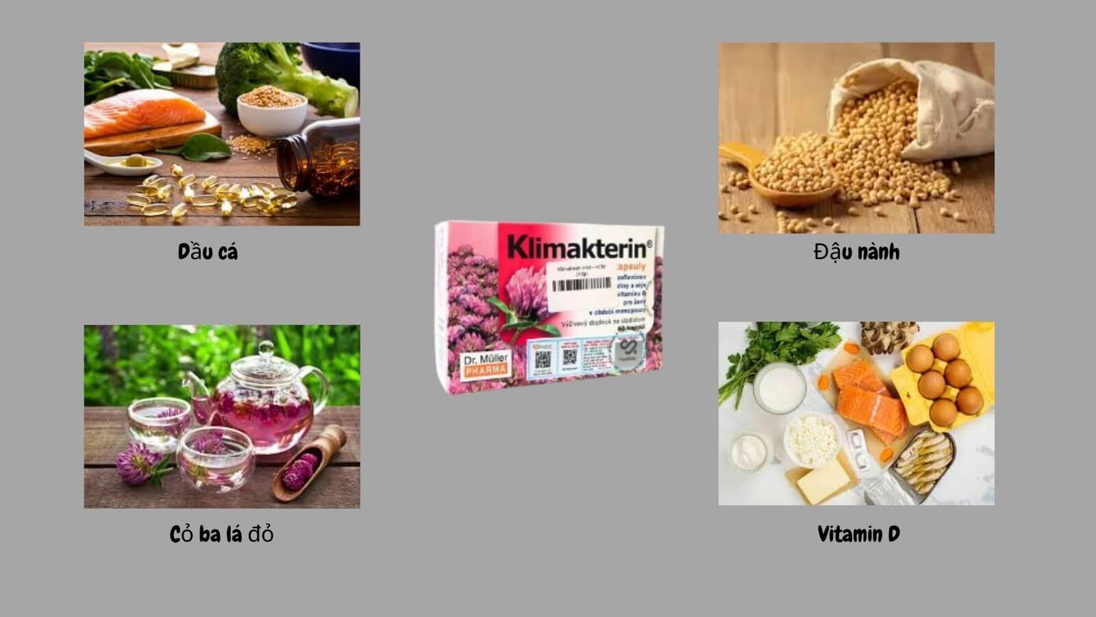    Klimakterin chứa nhiều dưỡng chất&nbsp;