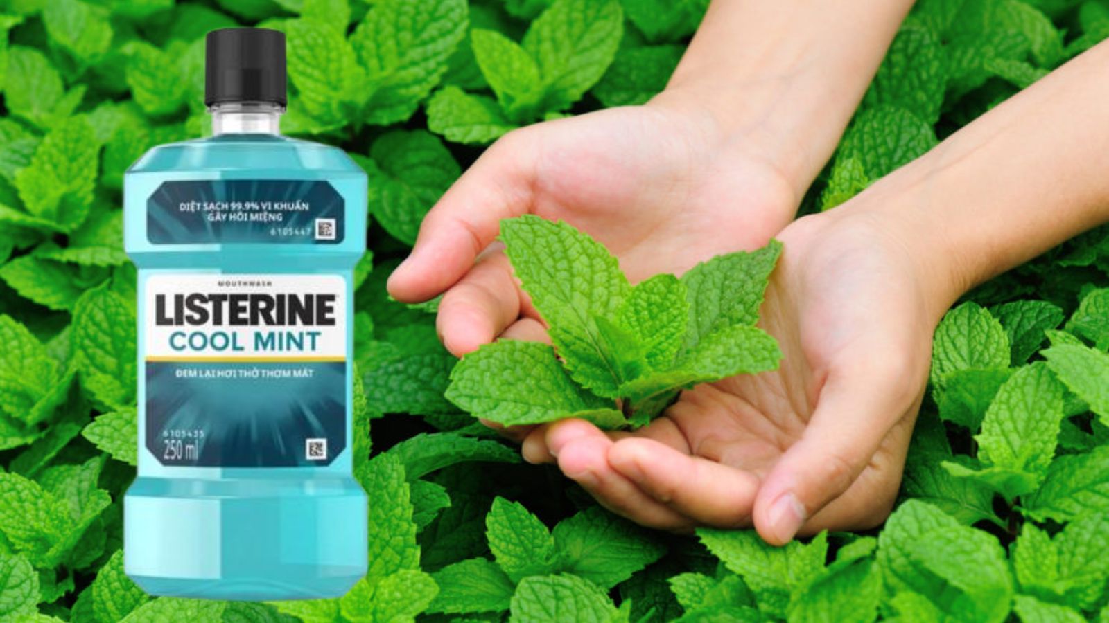 Listerine cool mint 250ml - Nước s&uacute;c miệng h&agrave;ng ng&agrave;y