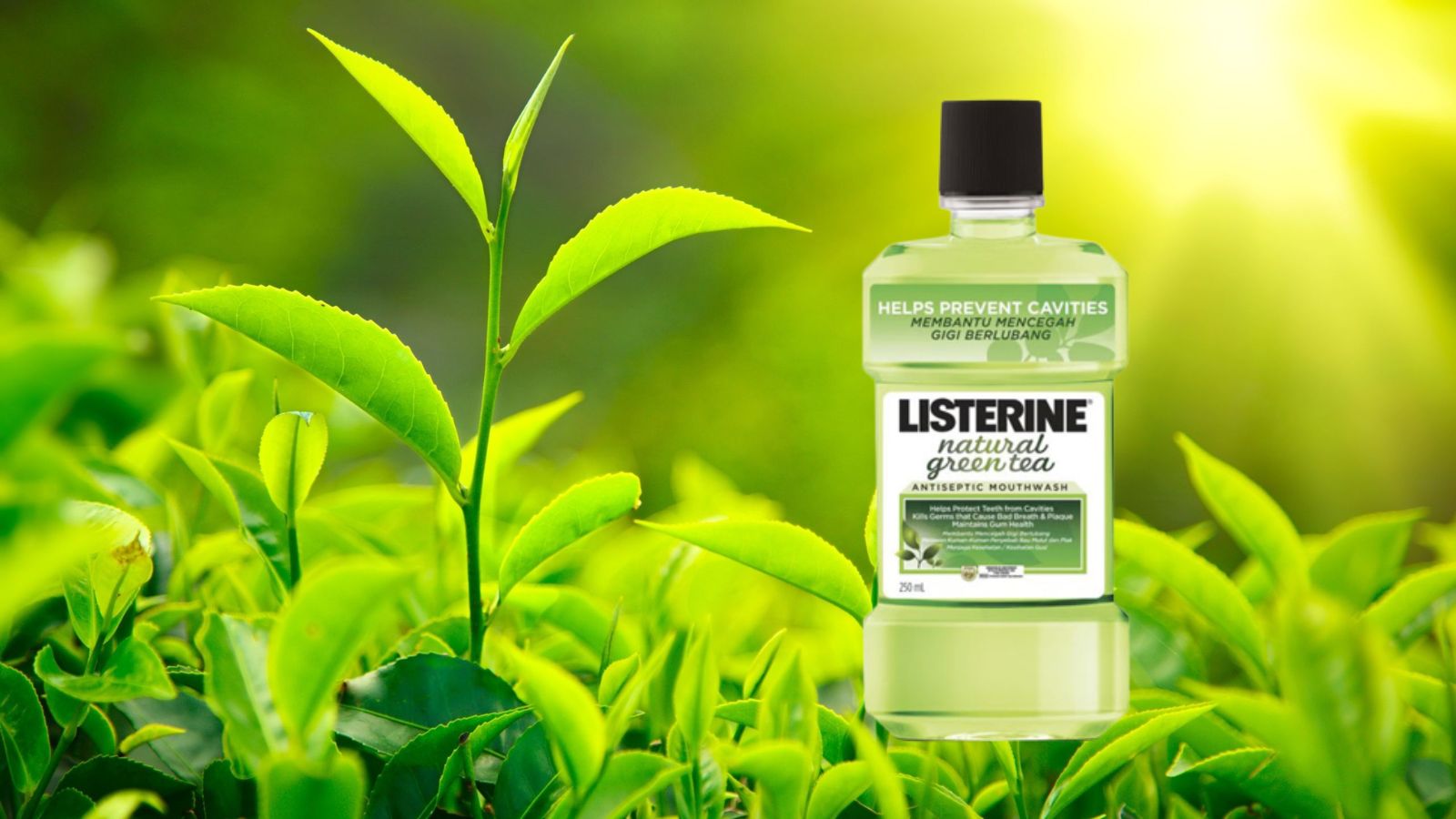 Nước s&uacute;c miệng sạch khuẩn Listerine Natural Greentea 250ml