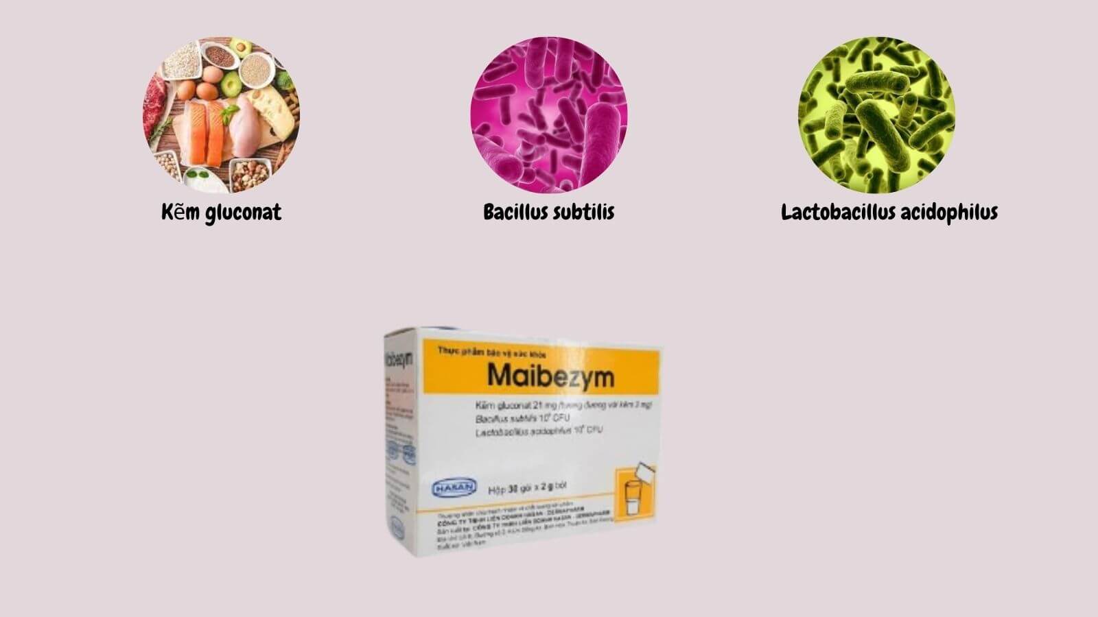 Maibezym chứa kẽm v&agrave; c&aacute;c lợi khuẩn