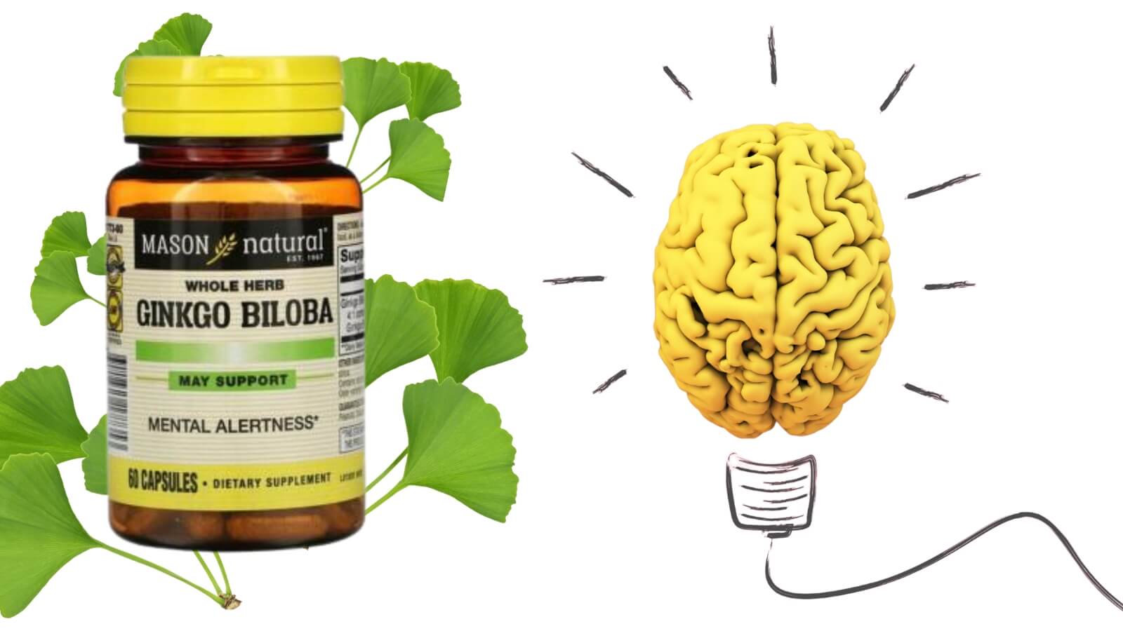 Mason Natural Ginkgo Biloba - Hỗ trợ tăng cường chức năng n&atilde;o bộ