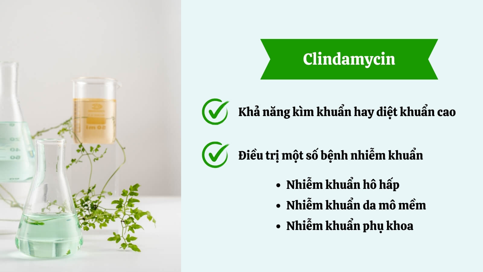 T&aacute;c dụng t&iacute;ch cực của Clindamycin - hỗ trợ t&igrave;nh trạng mụn trứng c&aacute;