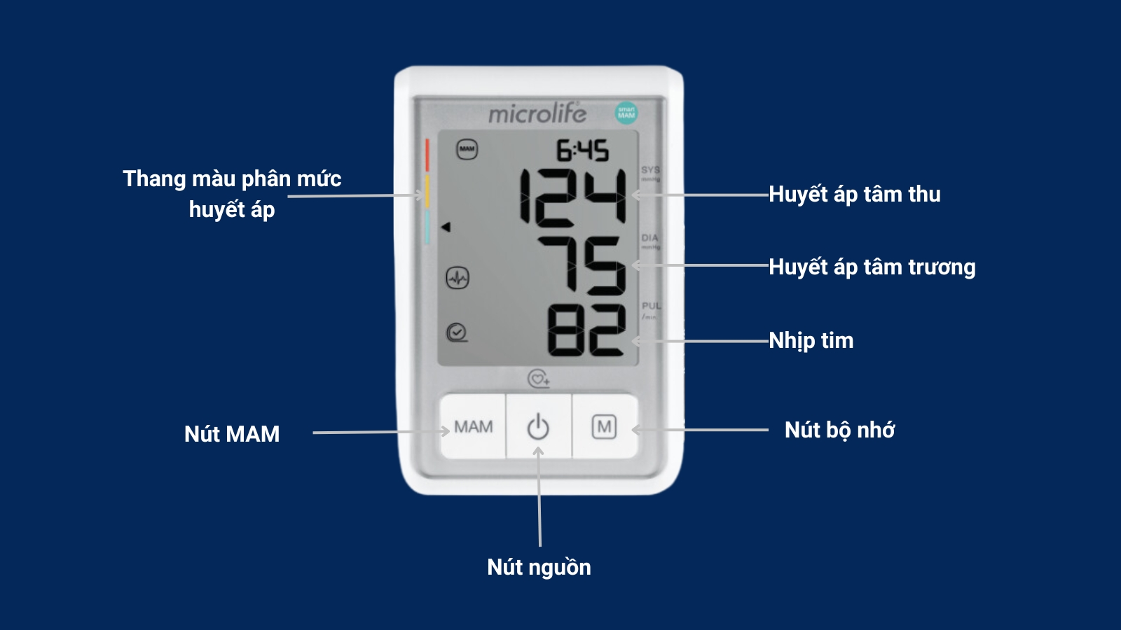 Cấu tạo chi tiết th&acirc;n m&aacute;y đo huyết &aacute;p Microlife B3 Basic
