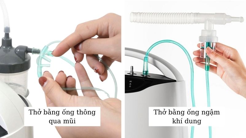 Người bệnh c&oacute; thể sử dụng m&aacute;y tạo oxy 5 l&iacute;t Yuwell 8F-5AW bằng hai c&aacute;ch
