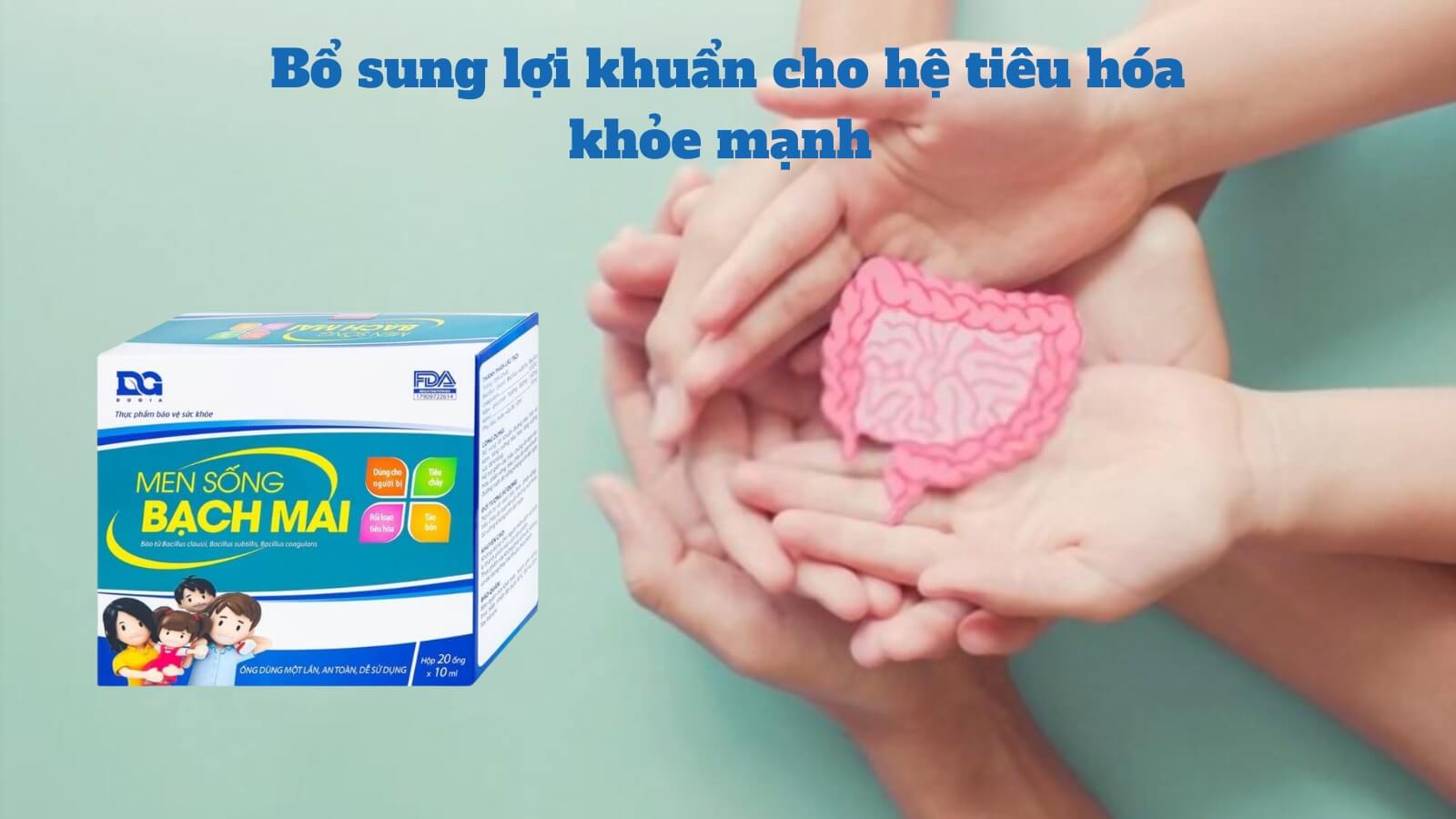 Men sống Bạch Mai hỗ trợ giảm các triệu chứng rối loạn tiêu hóa