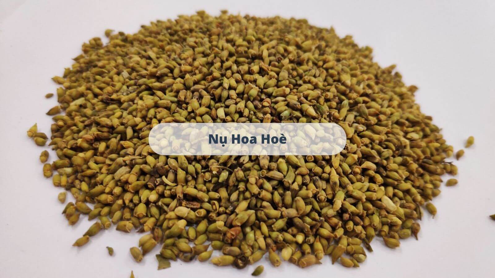 Th&agrave;nh phần ch&iacute;nh của Nano Quercetin