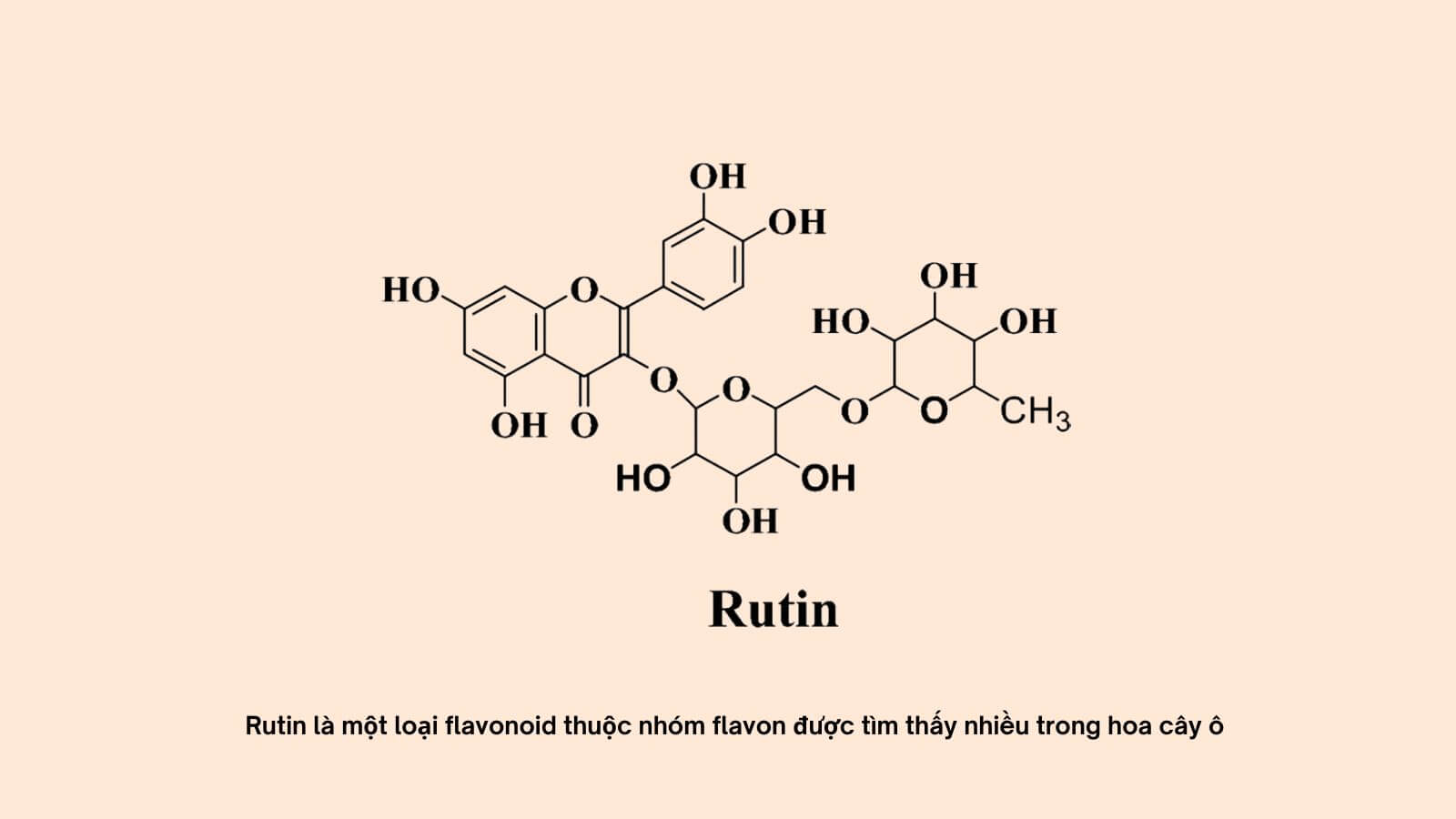 C&ocirc;ng thức ho&aacute; học của Rutin