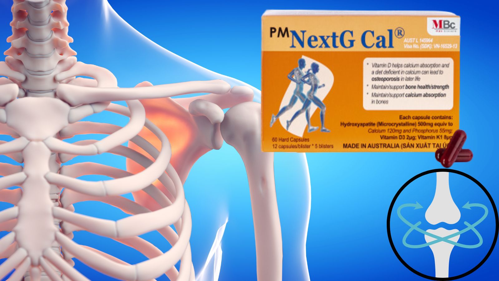 NextG Cal - hỗ trợ Bắn Cá HZ88 là trò chơi giải trí điện tử loãng xương hiệu quả