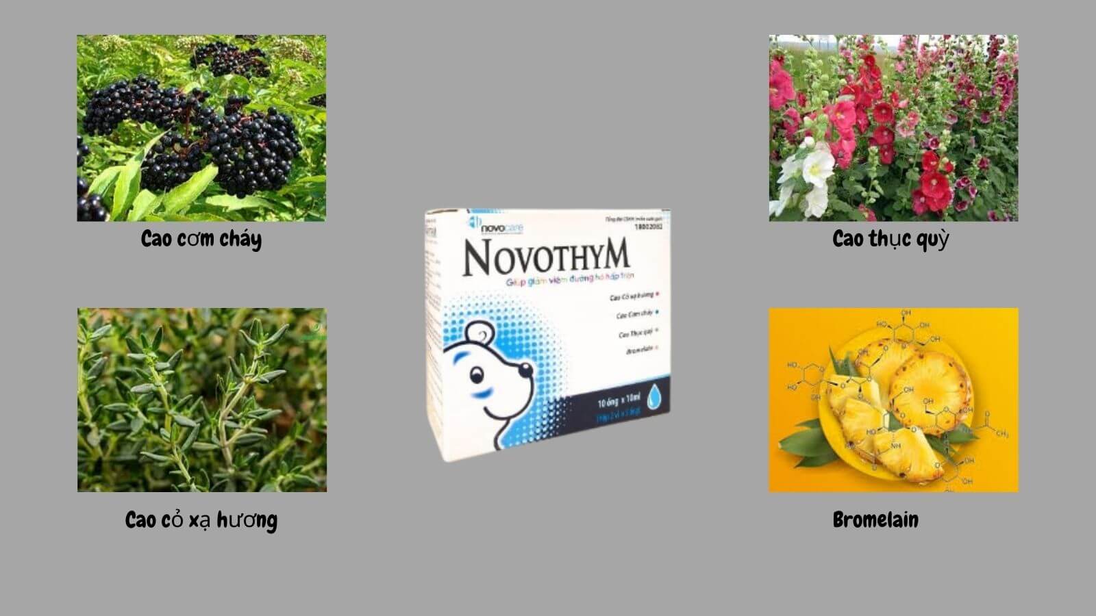    Novothym chứa c&aacute;c th&agrave;nh phần thi&ecirc;n nhi&ecirc;n