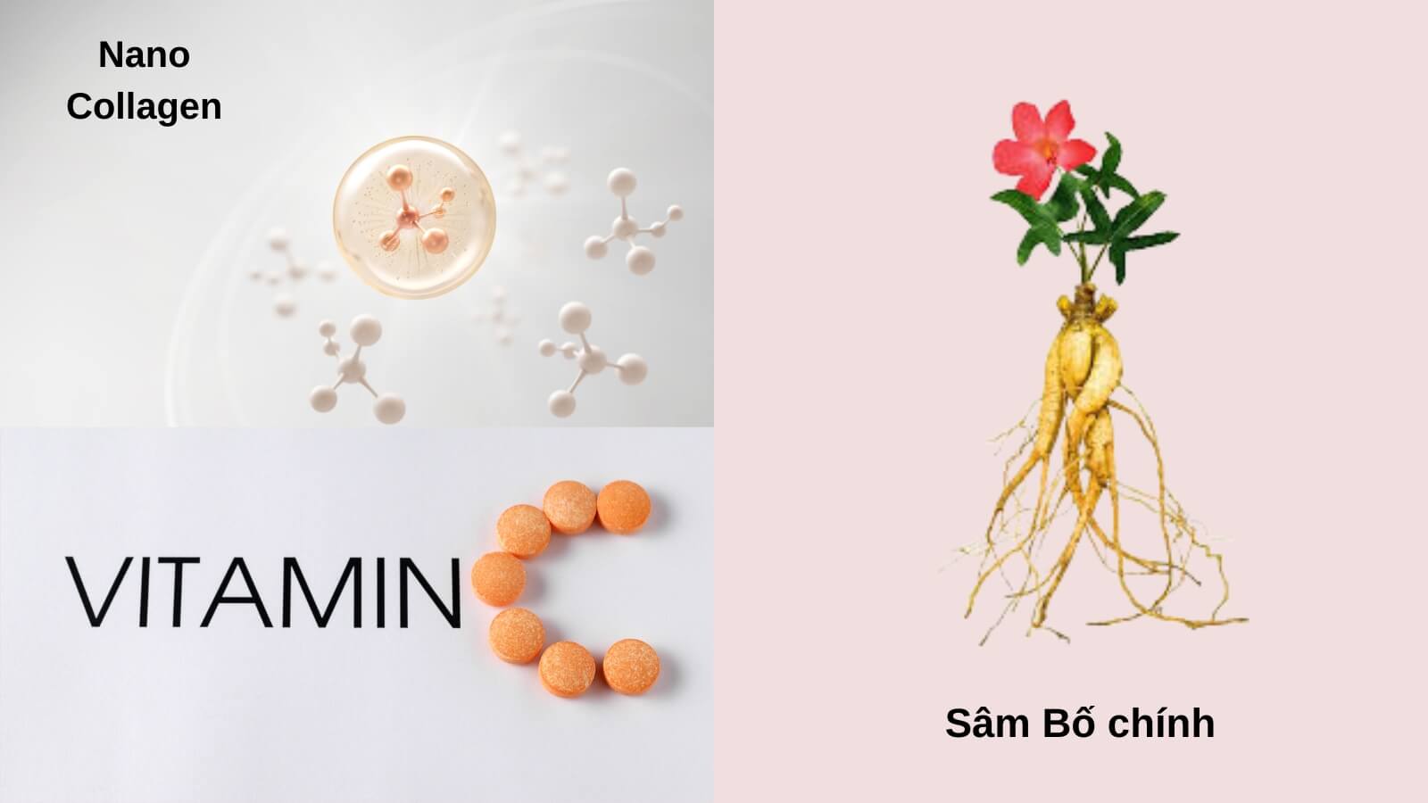 Kết hợp c&aacute;c th&agrave;nh phần c&oacute; khả năng l&agrave;m đẹp da