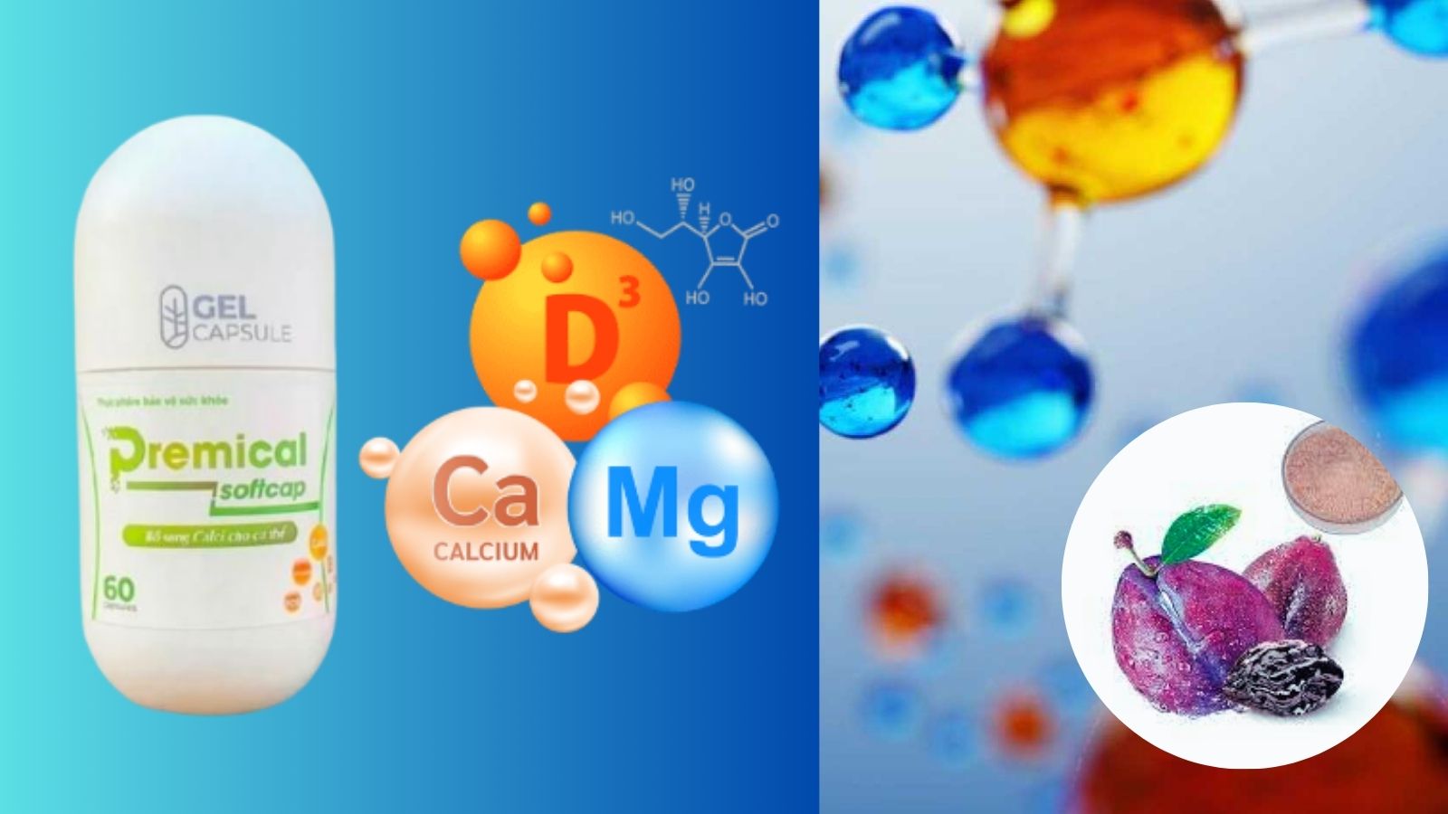 Th&agrave;nh phần ch&iacute;nh của Premical Softcap