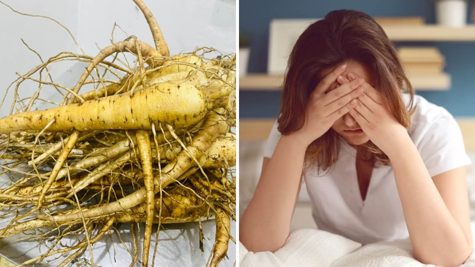 S&acirc;m bổ ch&iacute;nh c&oacute; t&aacute;c dụng thanh nhiệt, nhuận tr&agrave;ng, bồi bổ tinh thần, sinh thần kh&iacute;