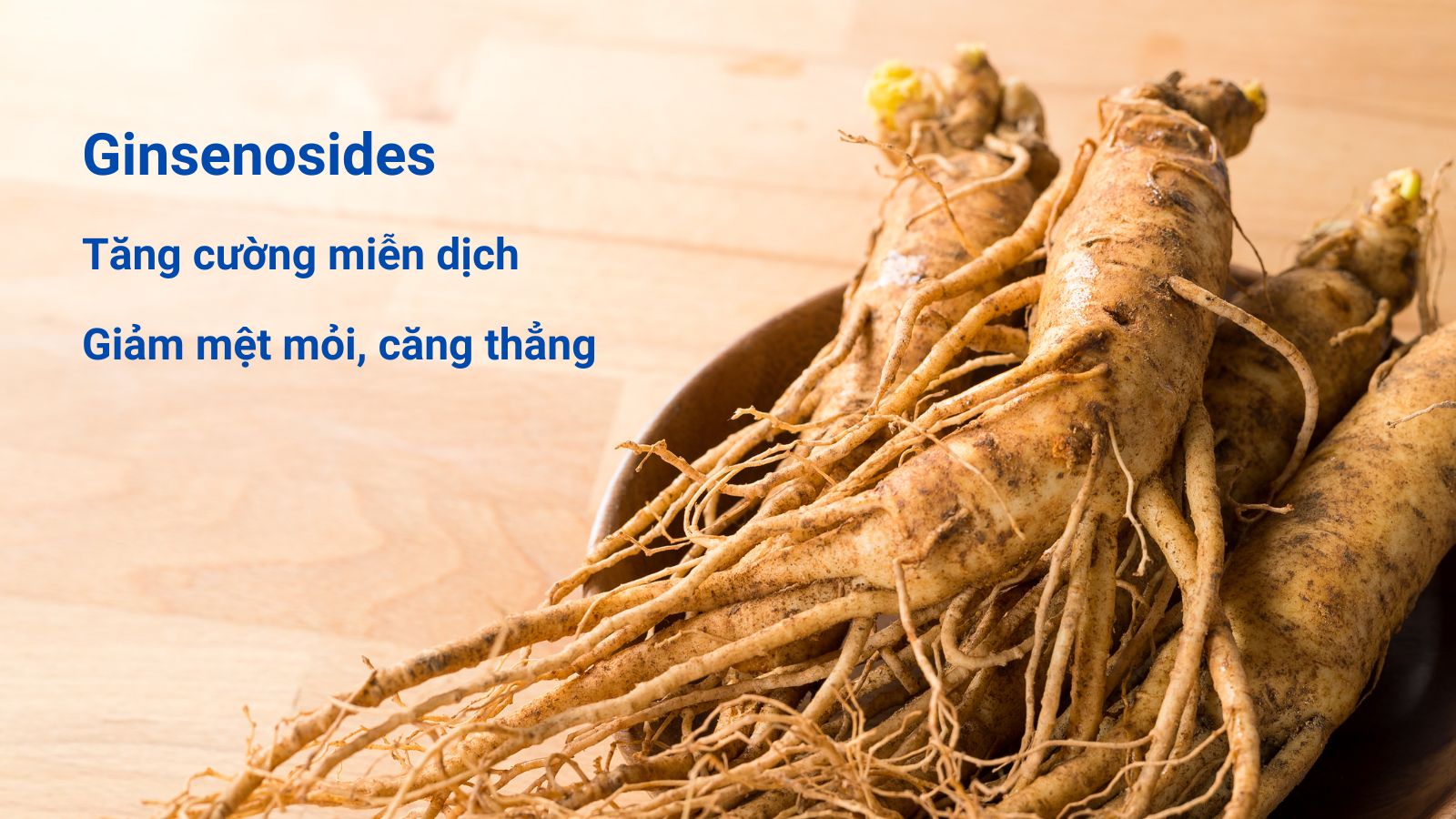 Th&agrave;nh phần ch&iacute;nh Ginsenosides trong Hồng s&acirc;m gi&uacute;p tăng cường Hz888 đăng ký nhanh