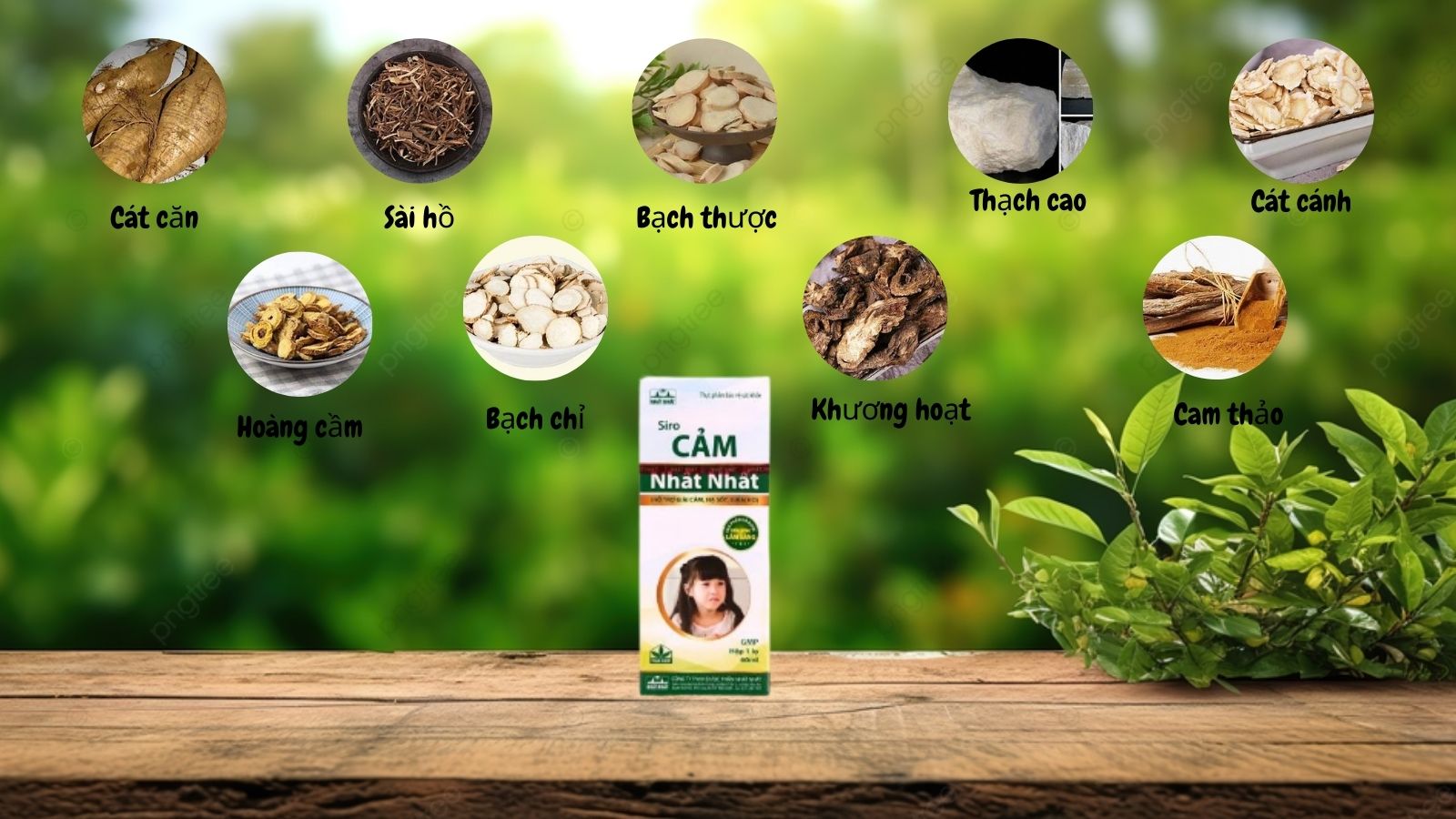 Siro Cảm Nhất Nhất chứa c&aacute;c th&agrave;nh phần thi&ecirc;n nhi&ecirc;n