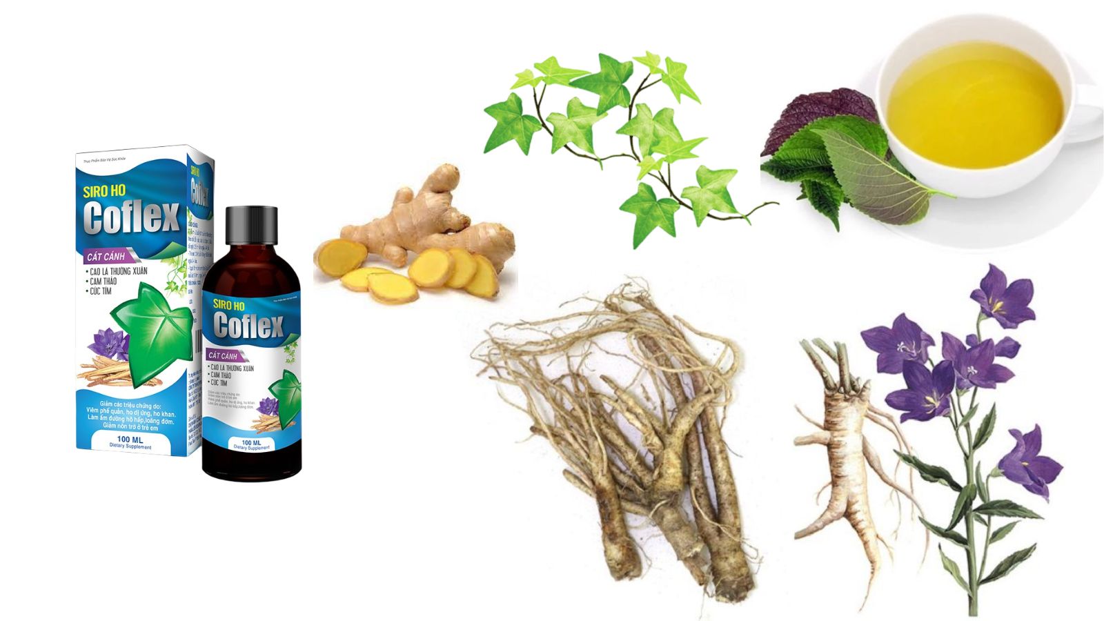 Th&agrave;nh phần ch&iacute;nh của Siro Coflex