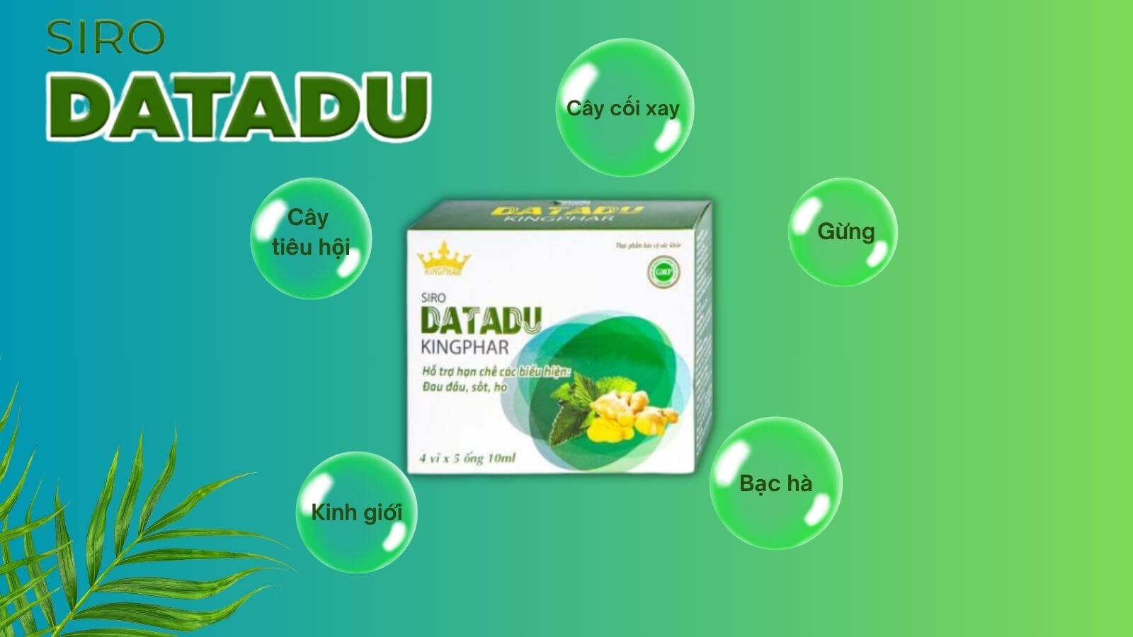 Th&agrave;nh phần c&oacute; trong 1 ống siro Datadu Kingphar