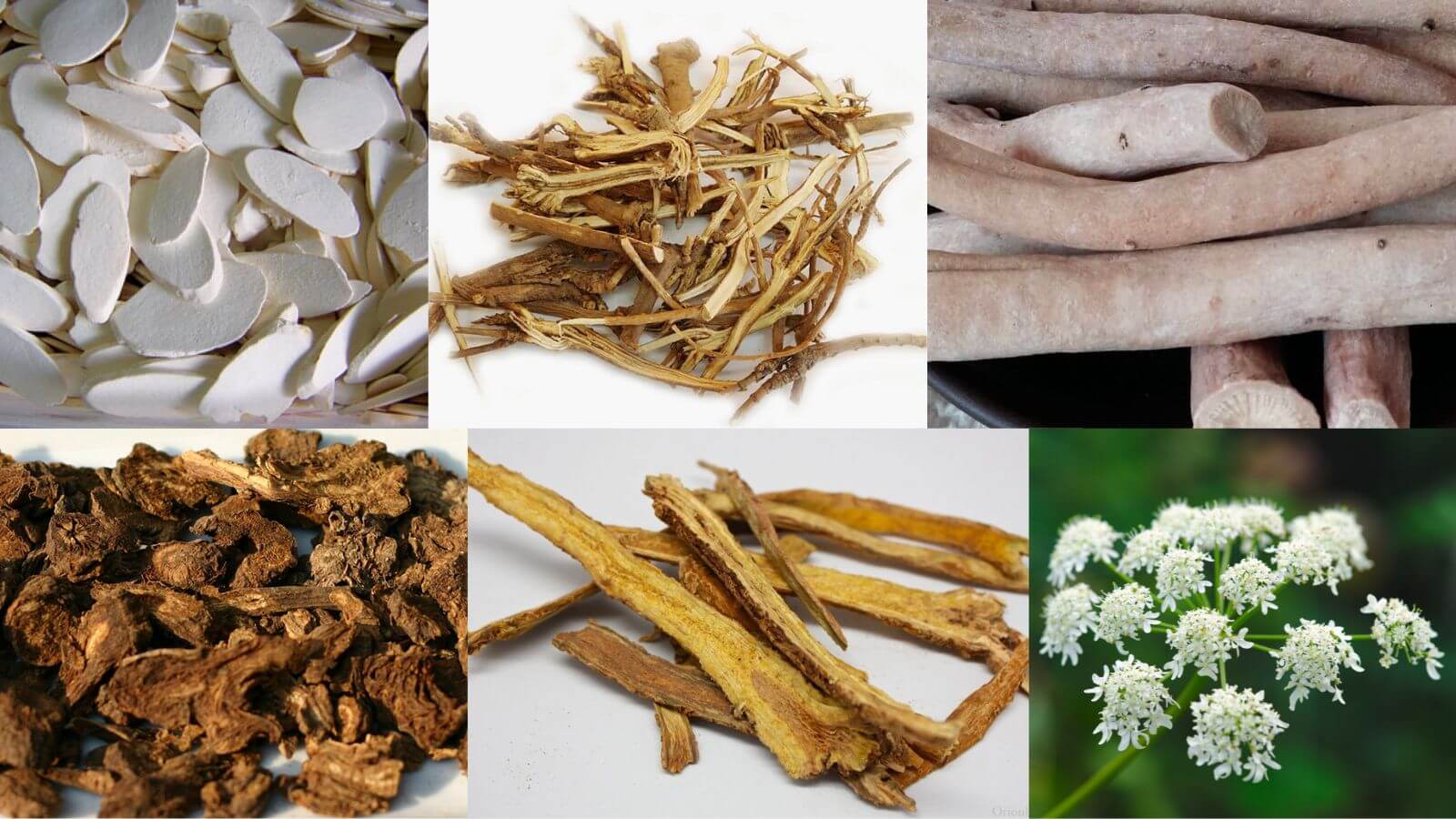 Siro Fitenka gi&uacute;p thanh nhiệt, giải cảm hiệu quả