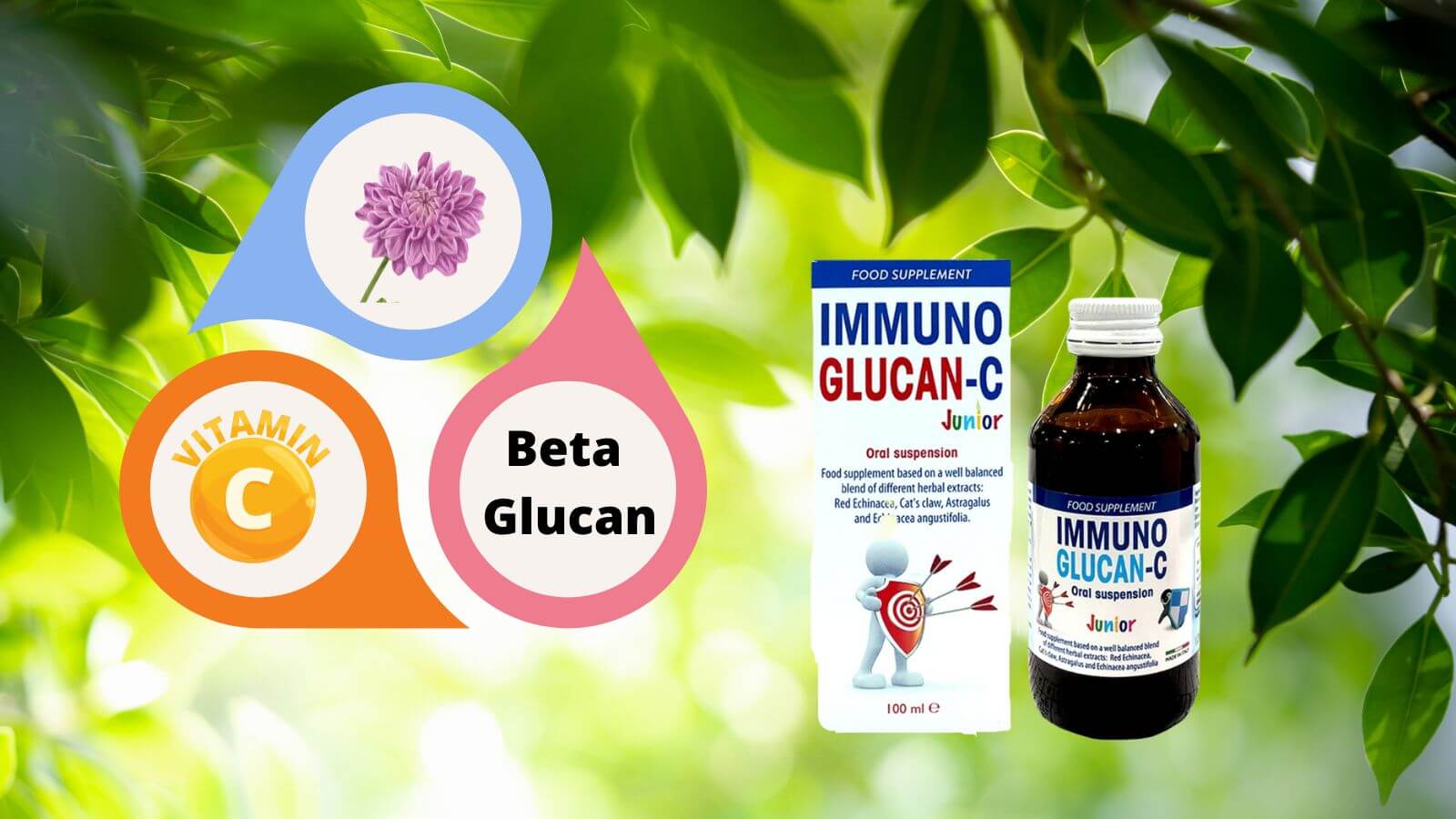 Siro Immuno Glucan C l&agrave; sản phẩm nhập khẩu ch&iacute;nh h&atilde;ng từ thương hiệu ERBEX của Italia