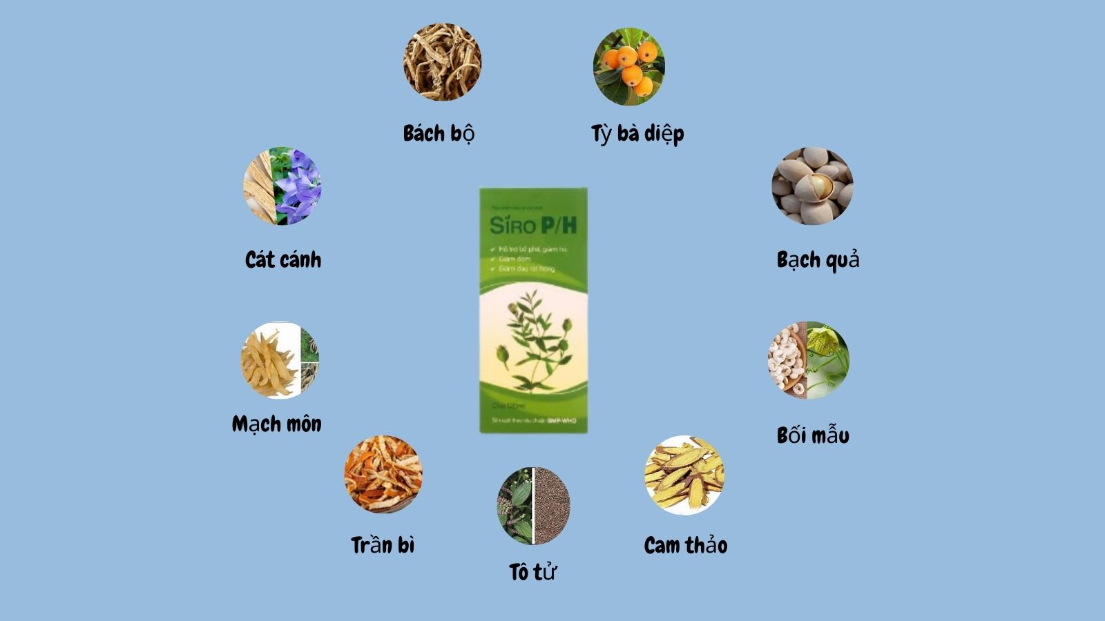 Siro P/H Ph&uacute;c Hưng chứa c&aacute;c dược liệu thi&ecirc;n nhi&ecirc;n