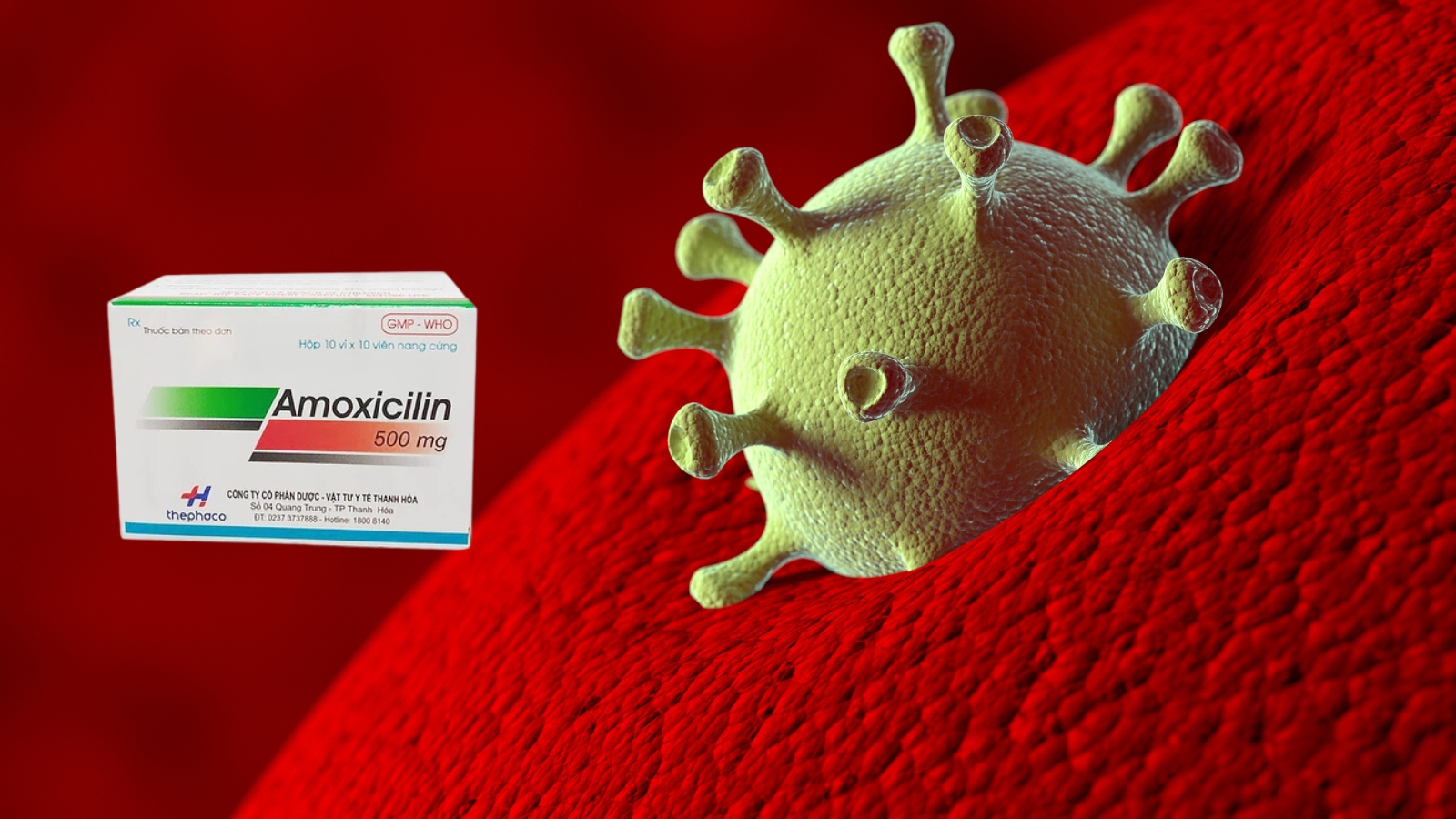 Amoxicillin l&agrave; một kh&aacute;ng sinh phổ rộng, c&oacute; hiệu quả chống lại nhiều loại Trang chủ đăng nhập HZ88 không chặn tặng 88K Gram dương v&agrave; Gram &acirc;m.