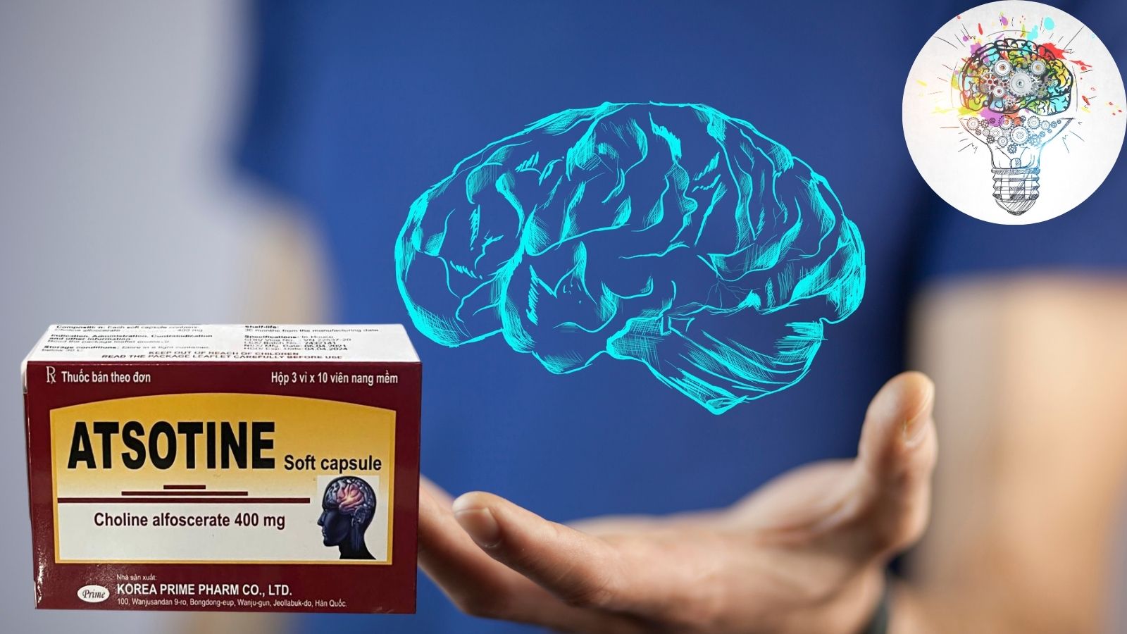 Cholin alfoscerat th&agrave;nh phần ch&iacute;nh của vi&ecirc;n Atsotine